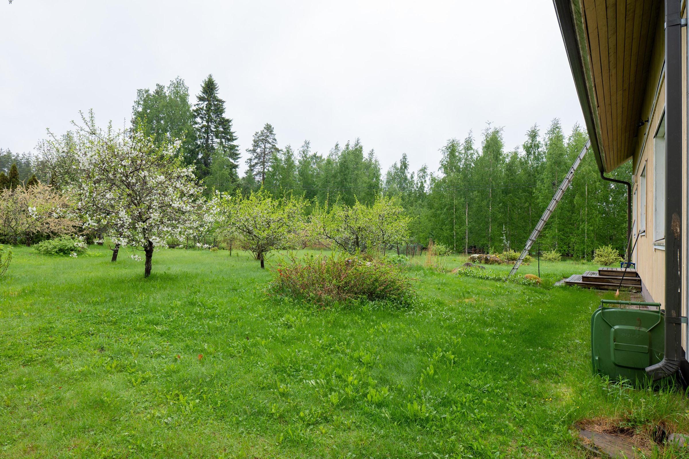Kohdekuva 38