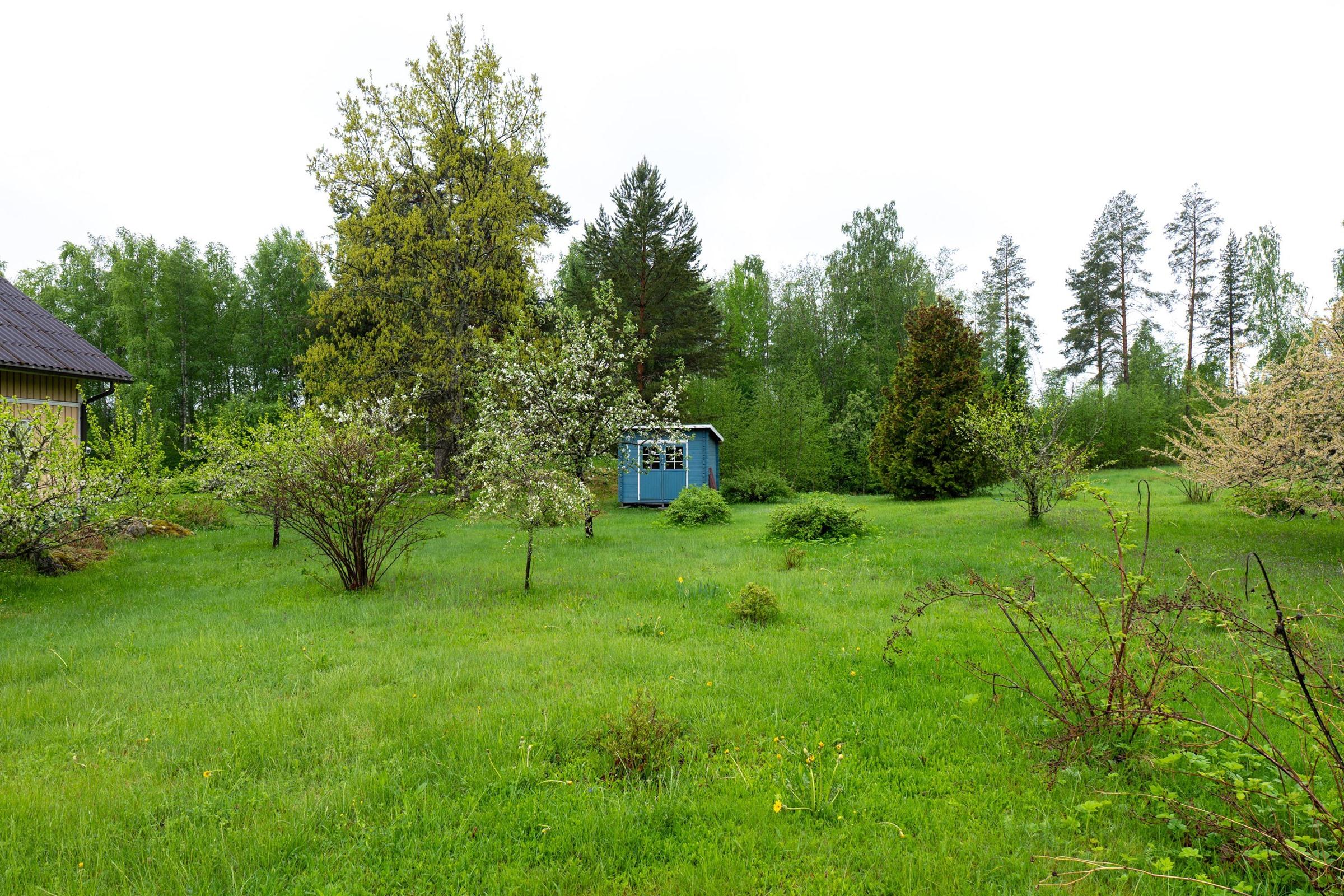 Kohdekuva 43