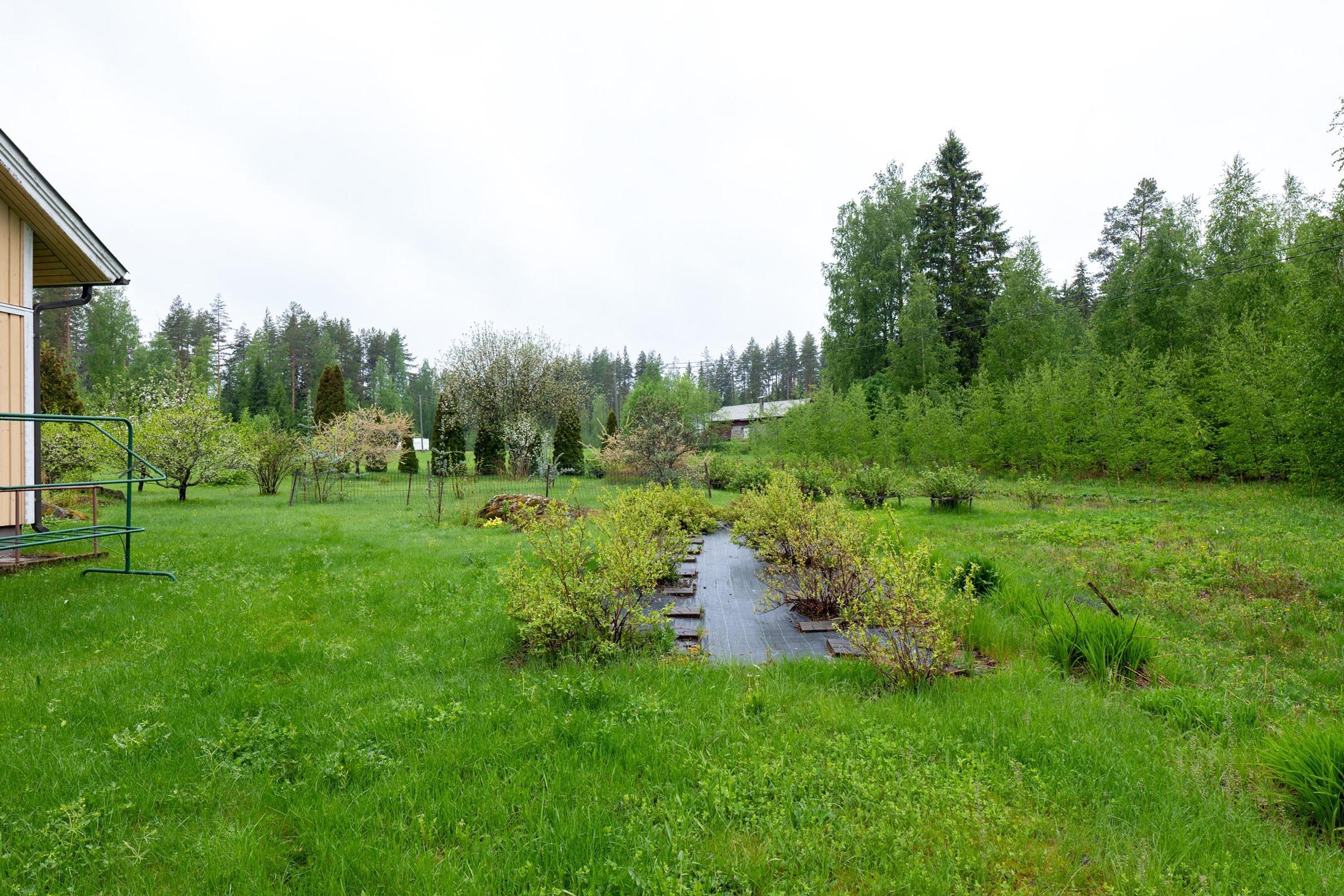 Kohdekuva 44