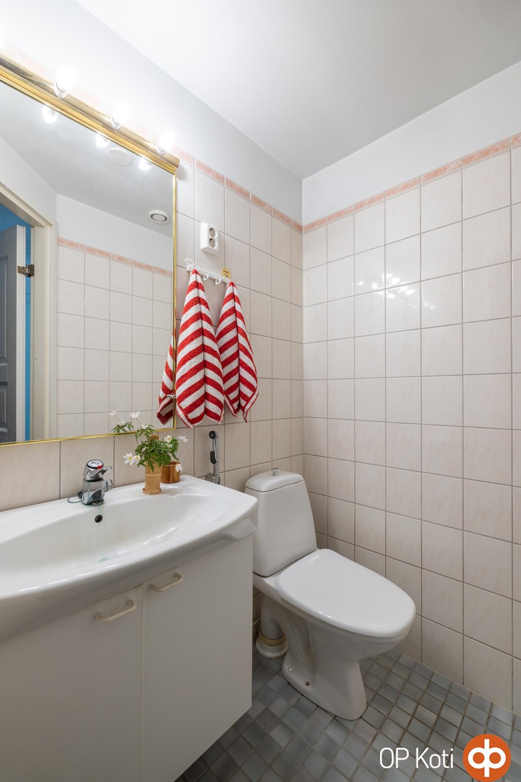 Erillinen wc