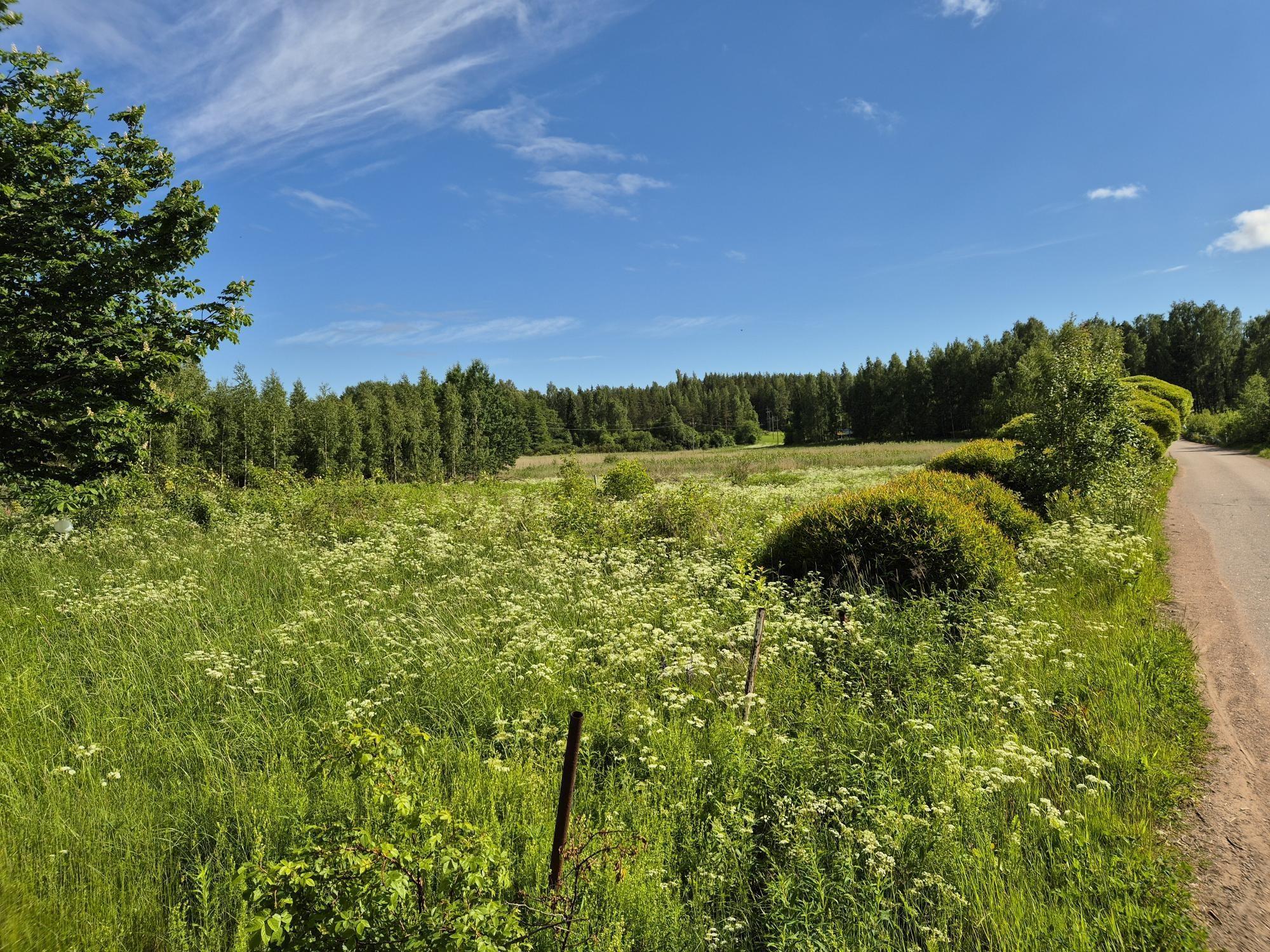 Kohdekuva 4