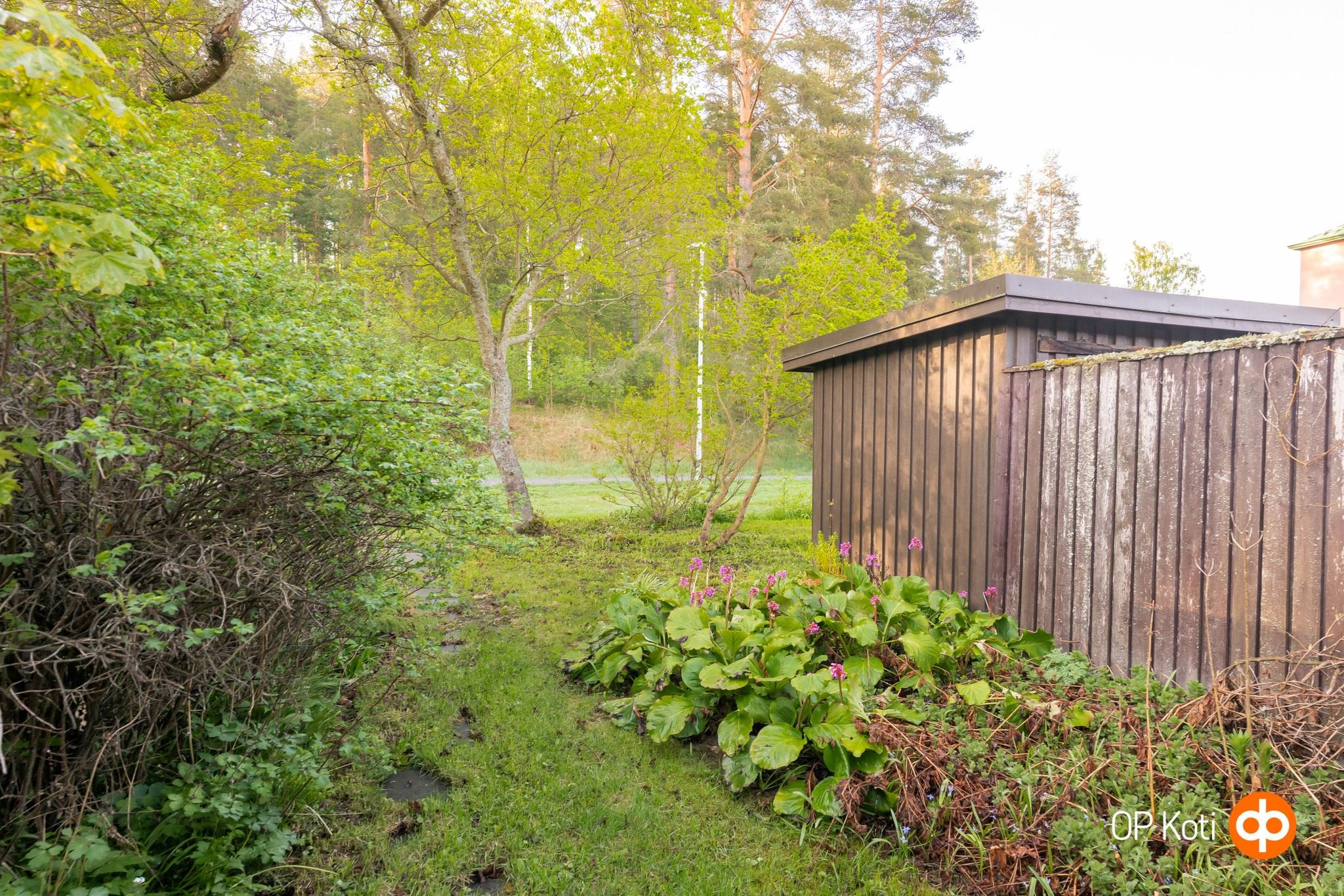 Yläpiha Harjulle