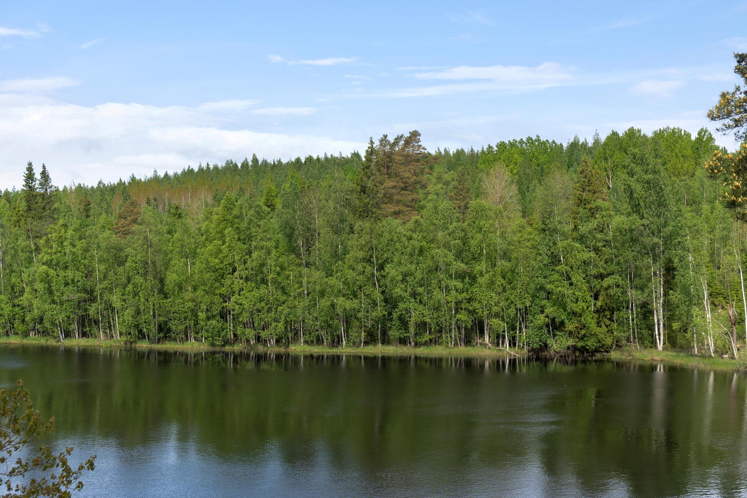 Kohdekuva 3