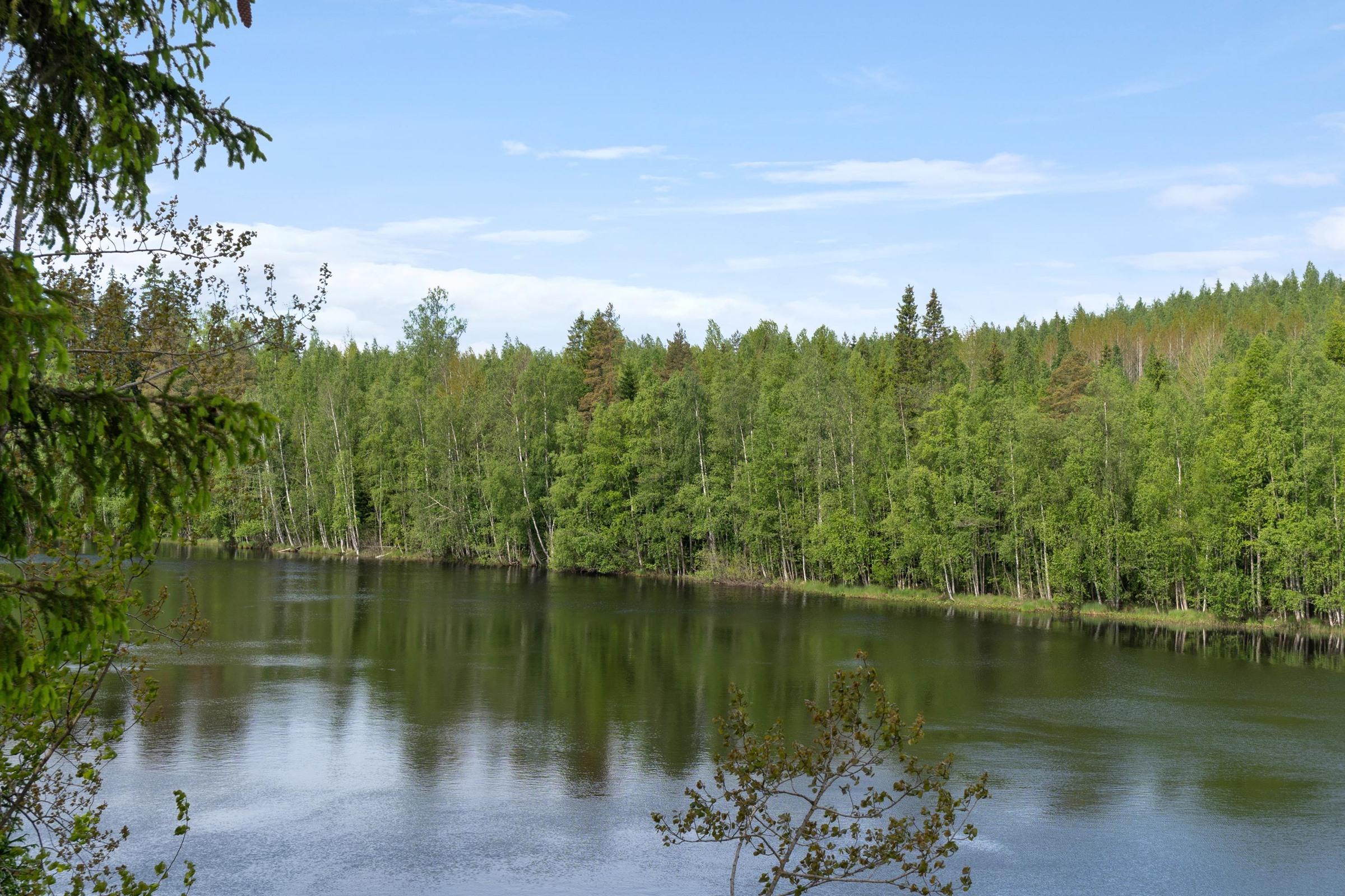 Kohdekuva 4