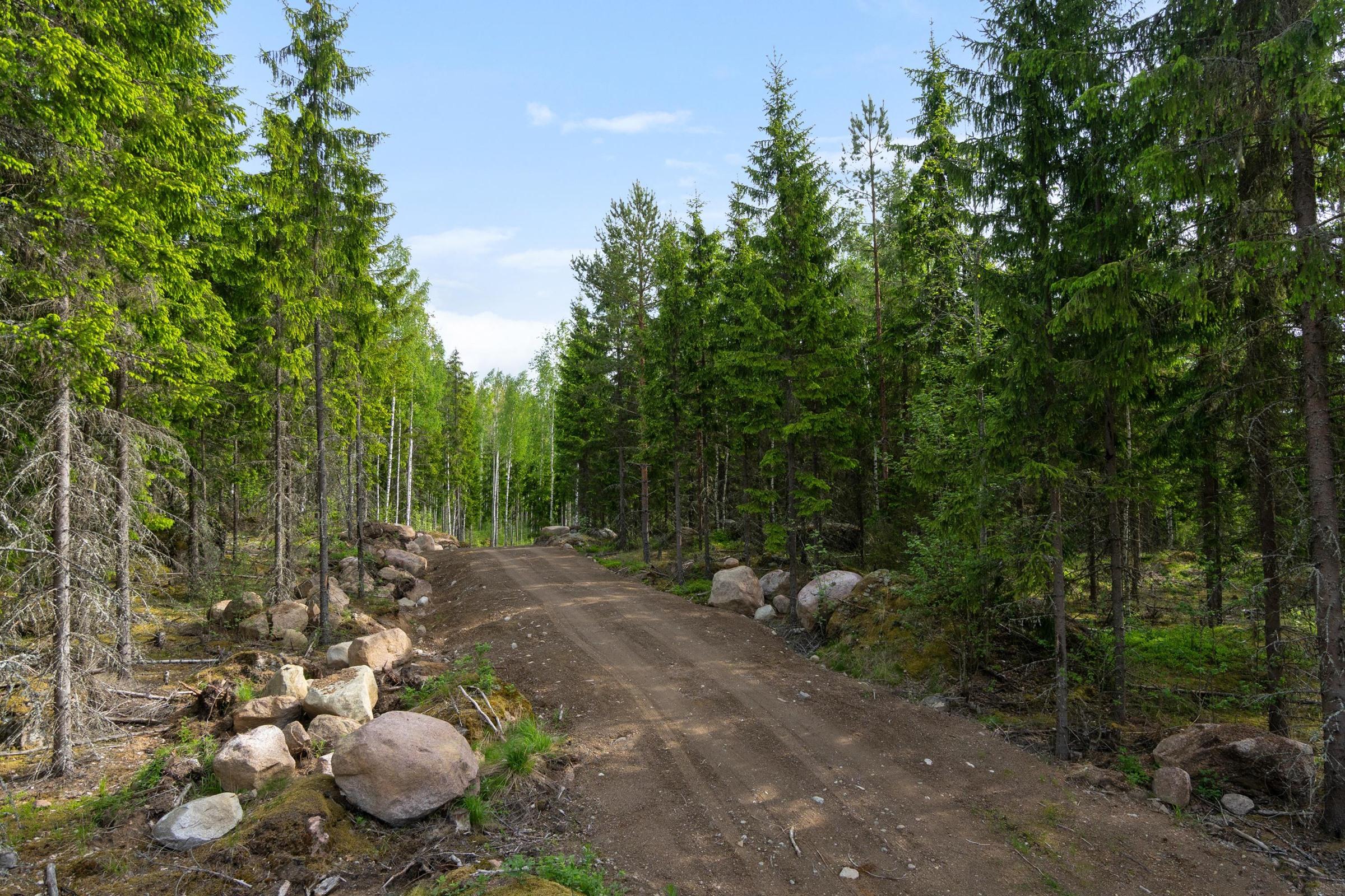 Kohdekuva 5