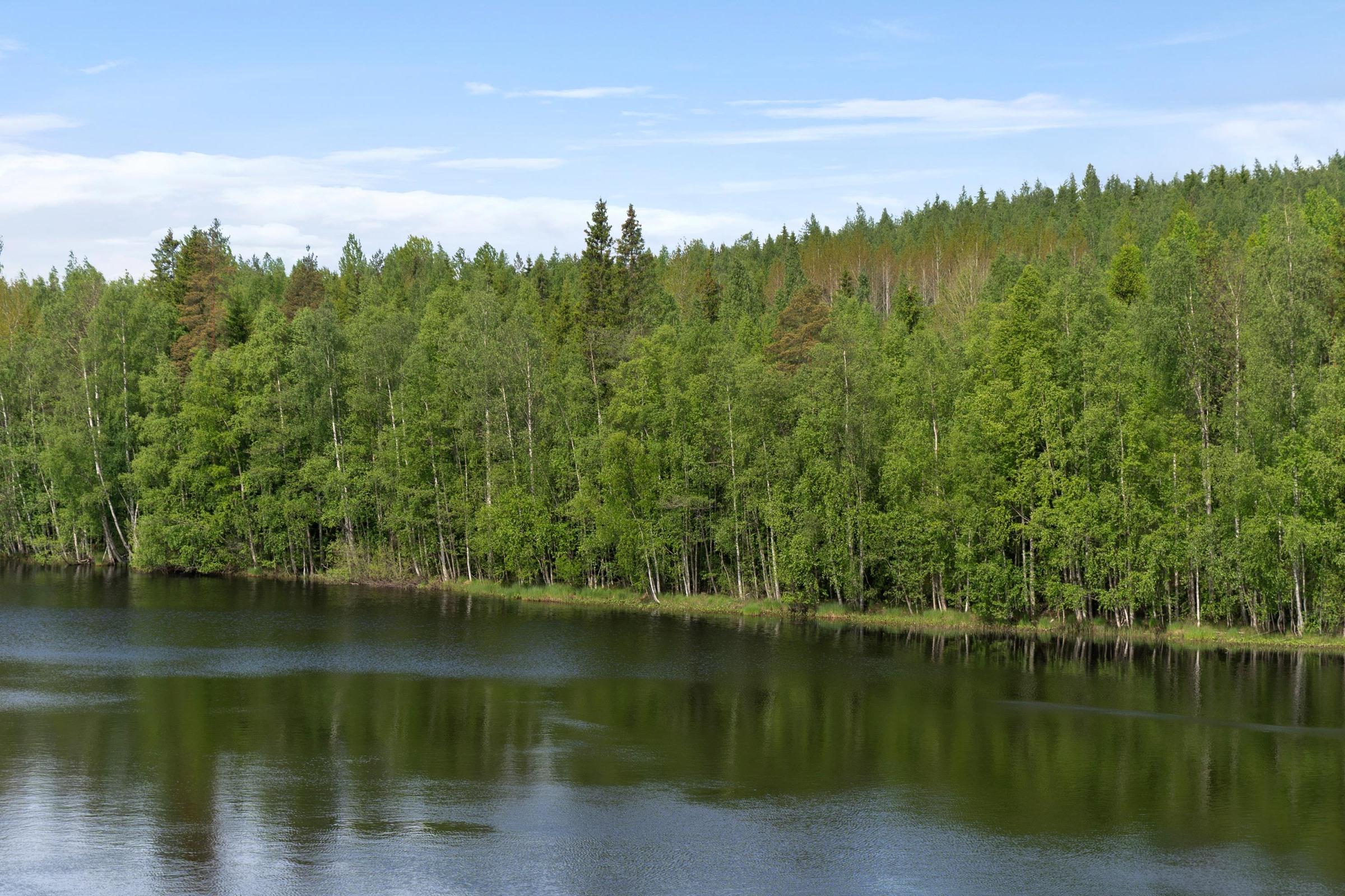 Kohdekuva 1