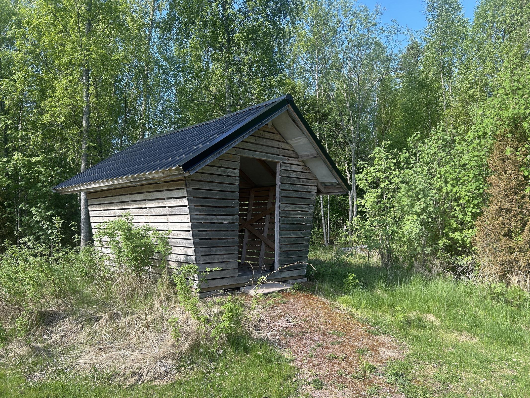 Puuvaja