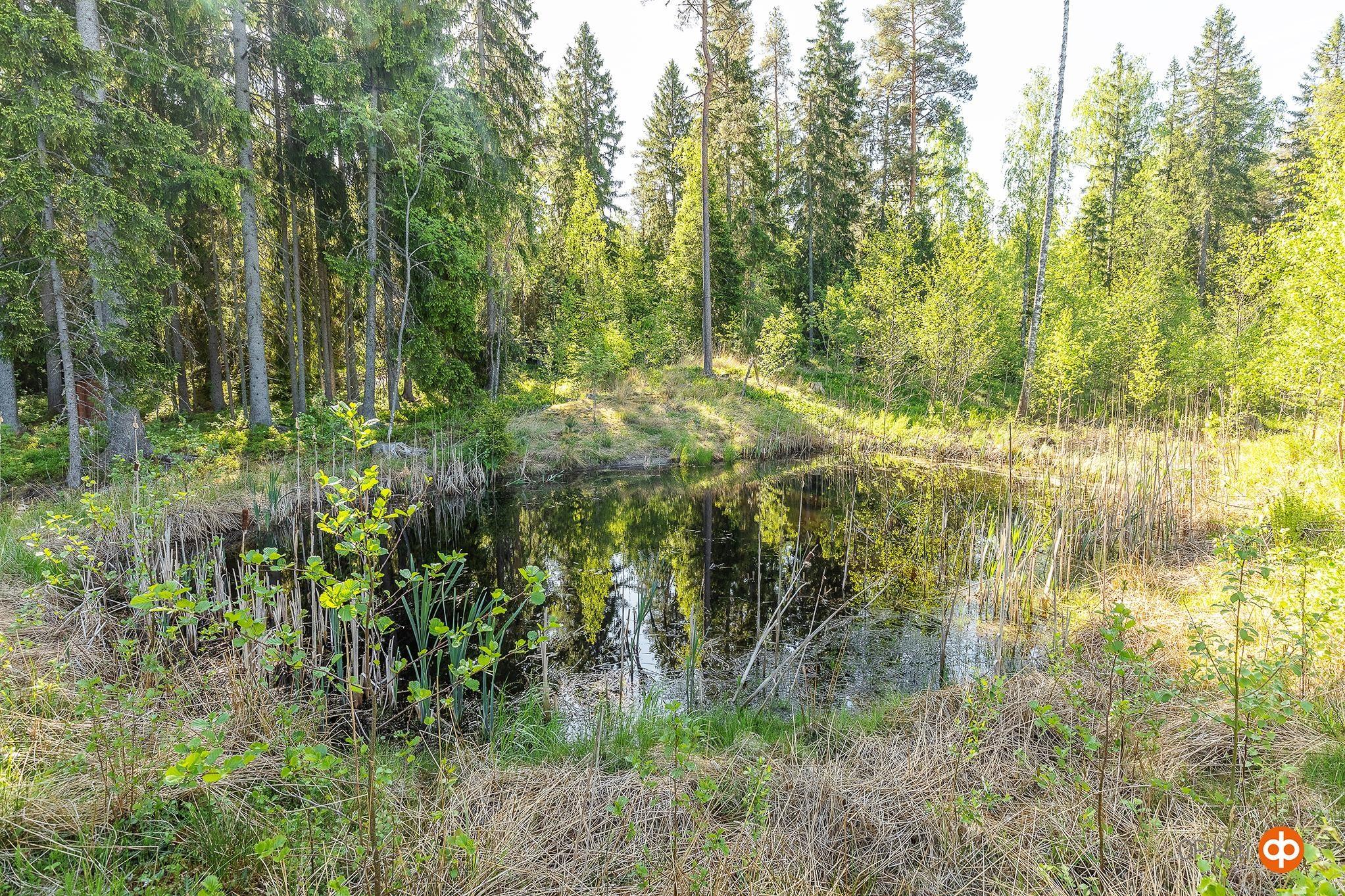 Kohdekuva 18