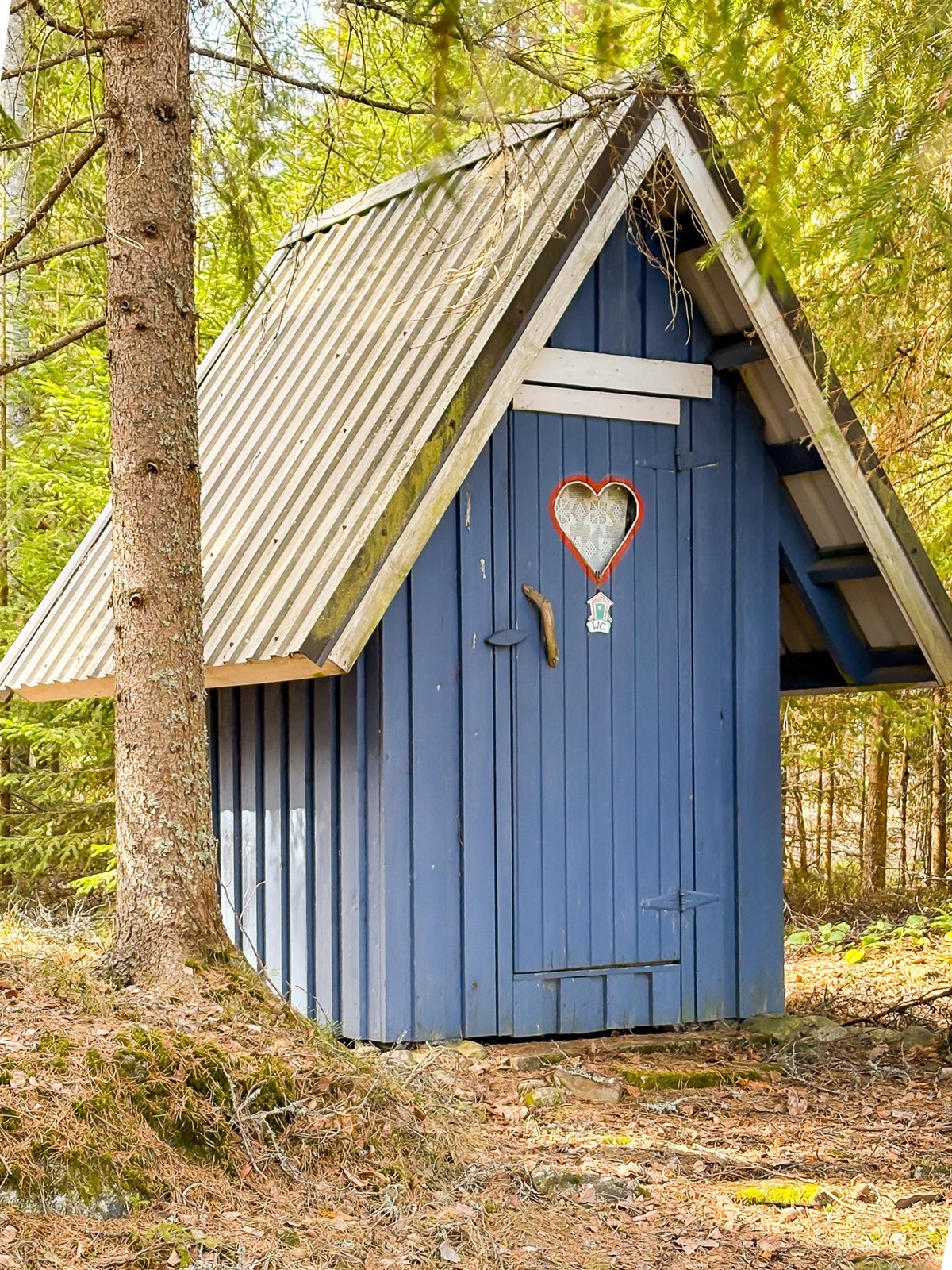 Kohdekuva 18