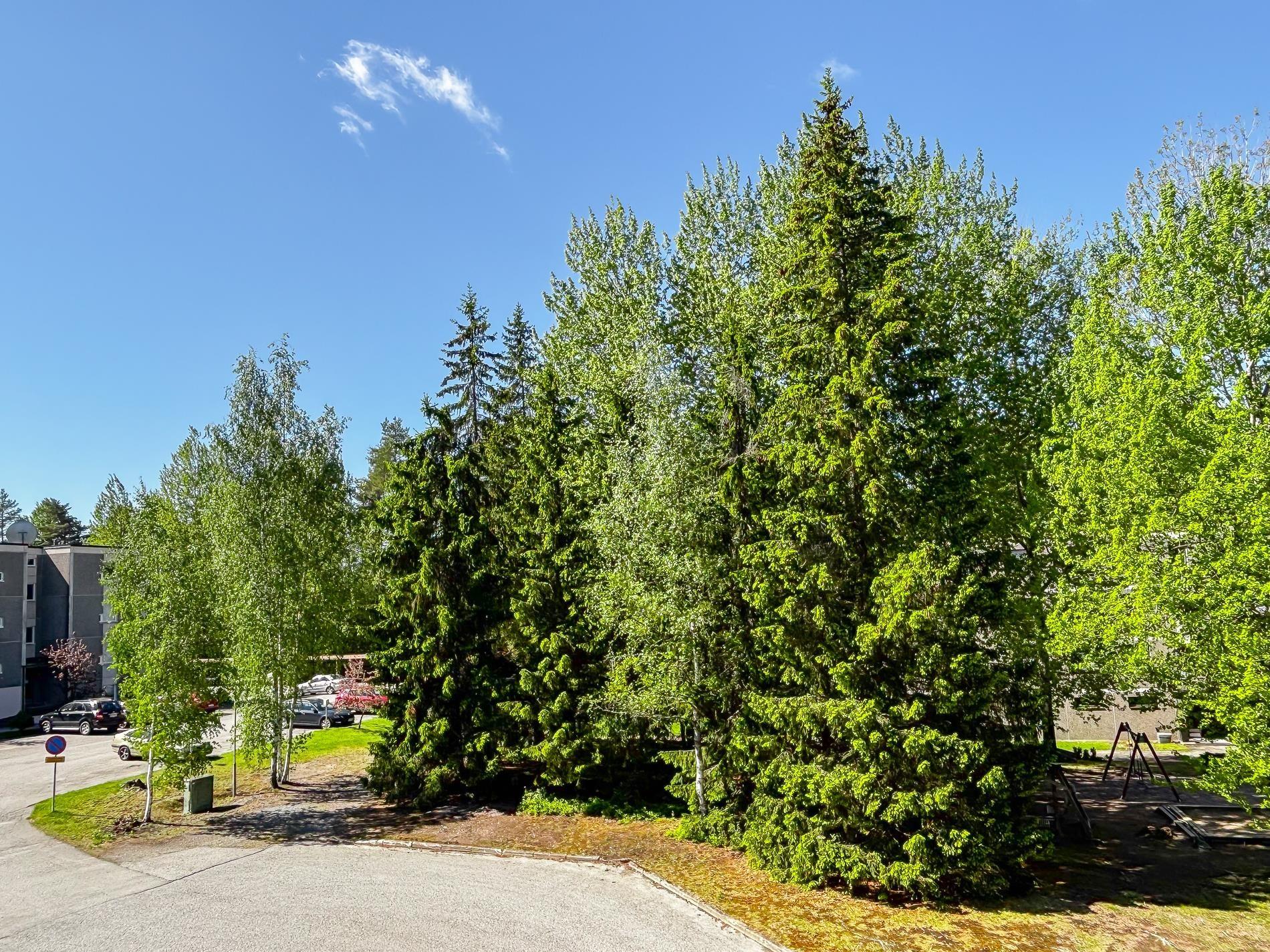 Kohdekuva 25