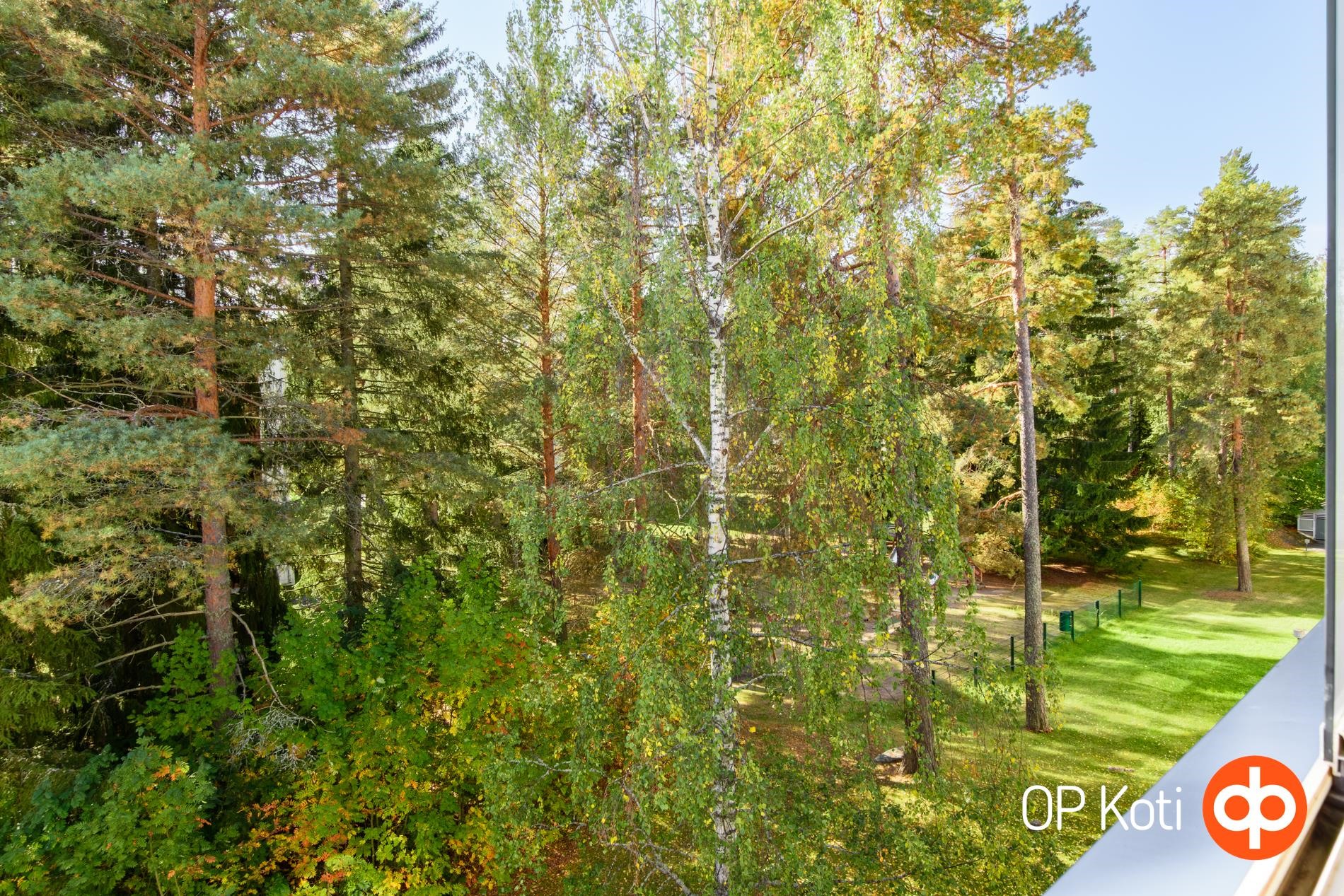 Kohdekuva 13