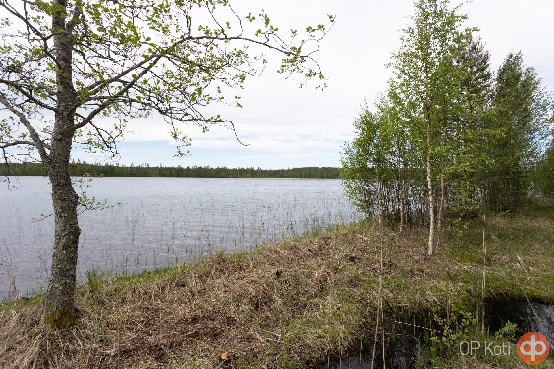 Kohdekuva 35