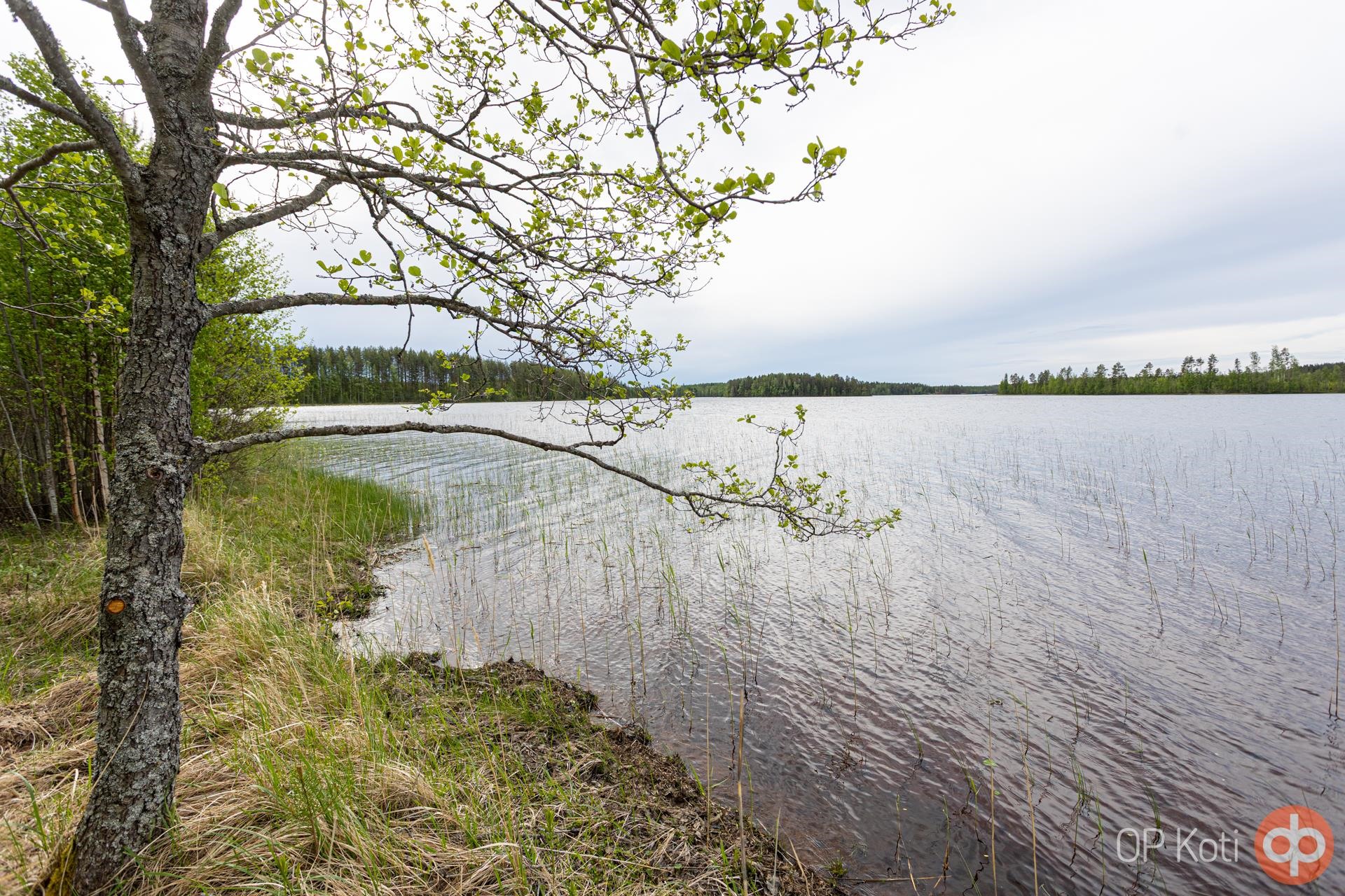 Kohdekuva 34