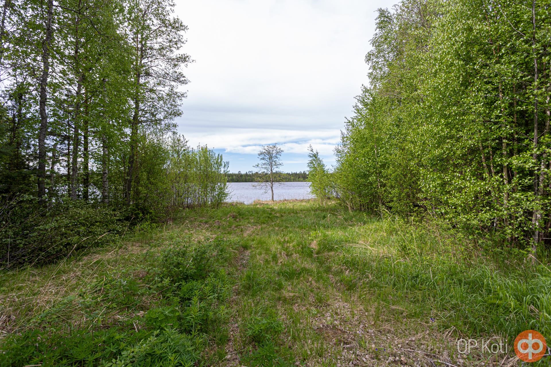 Kohdekuva 36