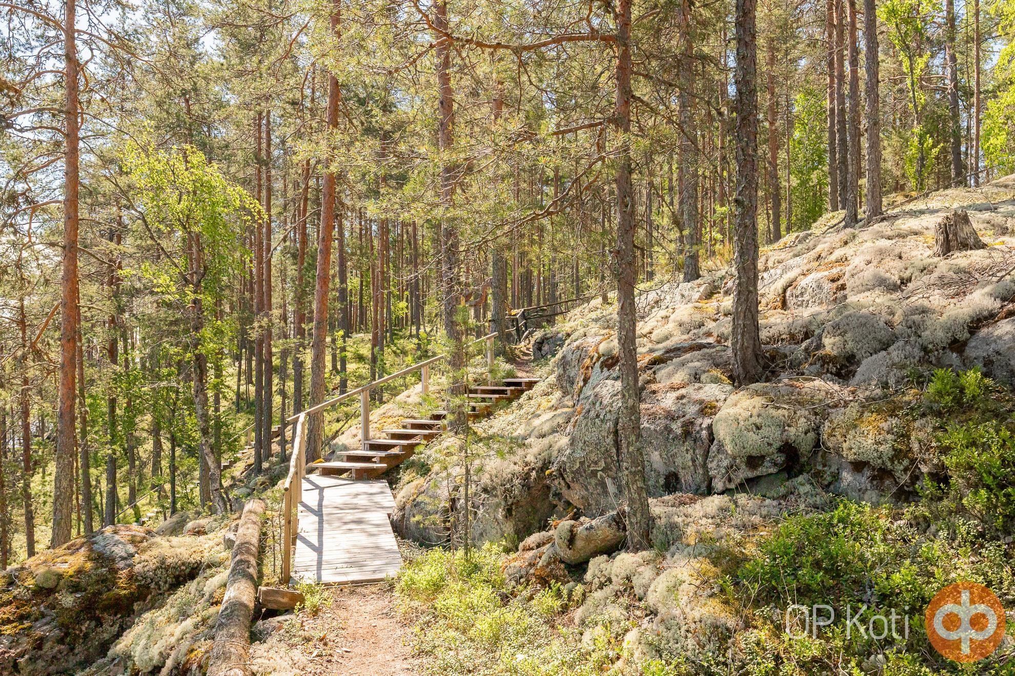 Kohdekuva 14