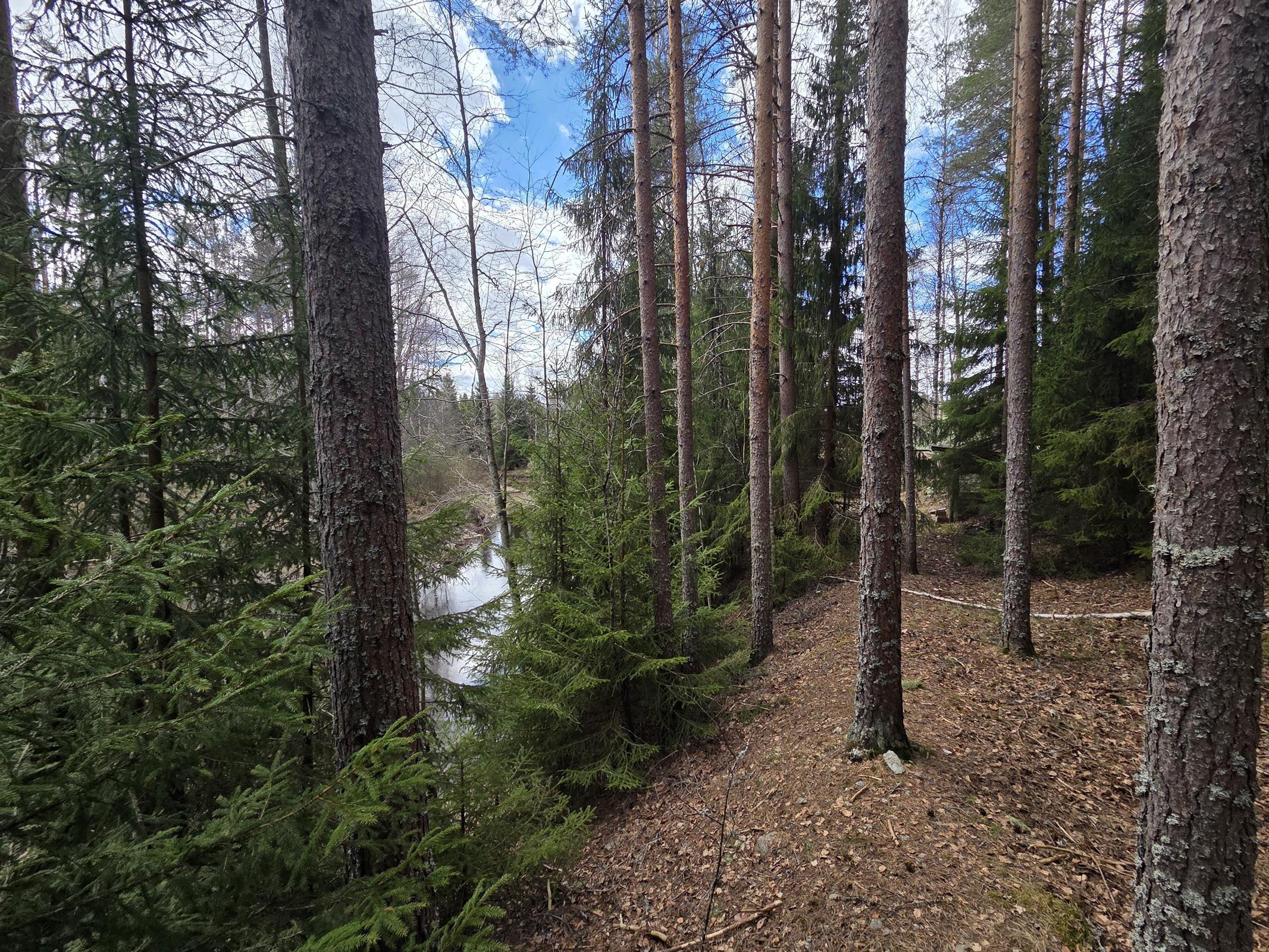 itäpuoli tontista enemmän harjannemainen