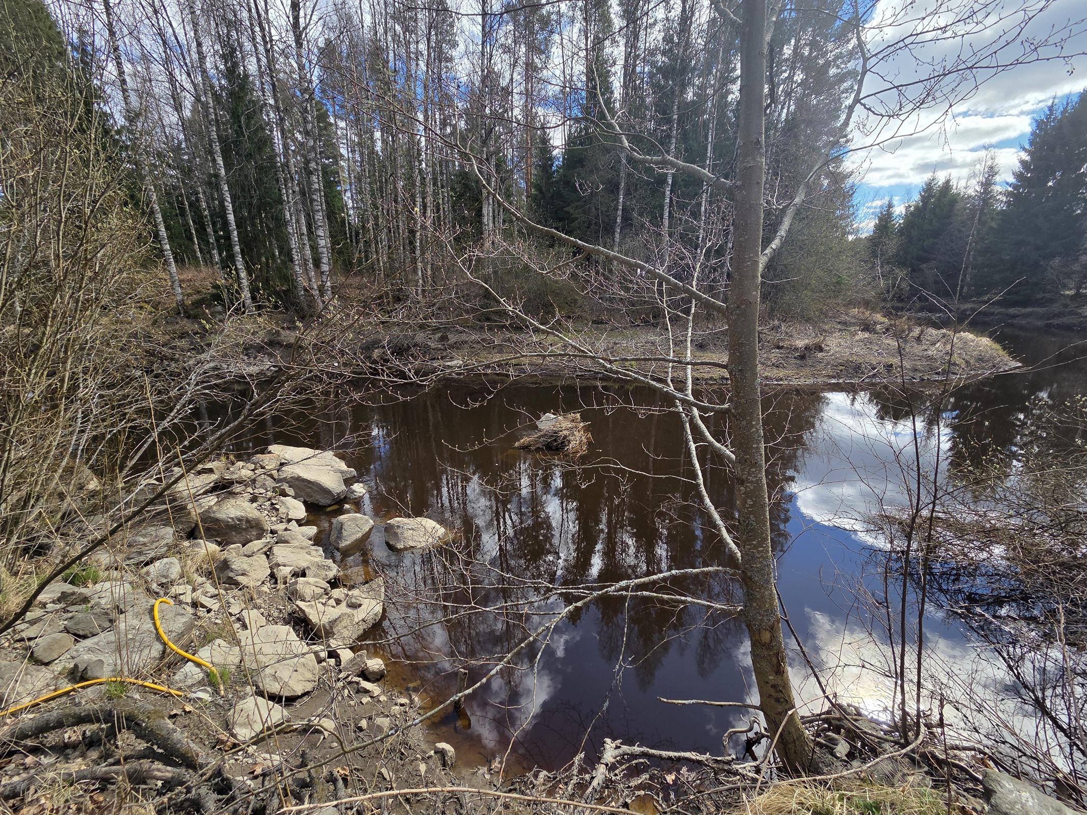 tässä pidetty laituria ja uitu