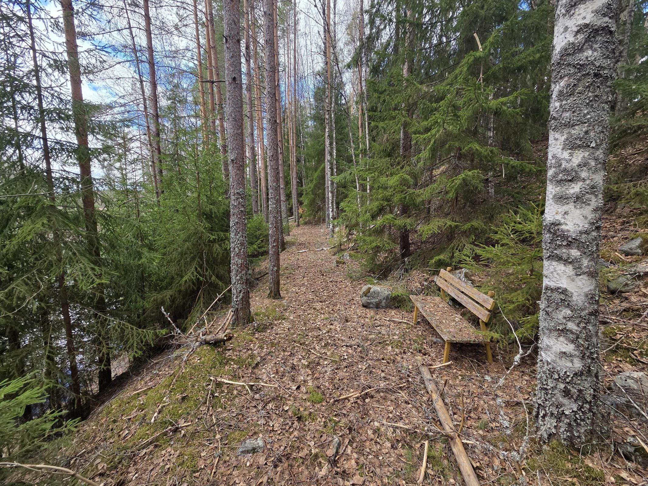 joentörmän yläpuolella pieni kävelypolku