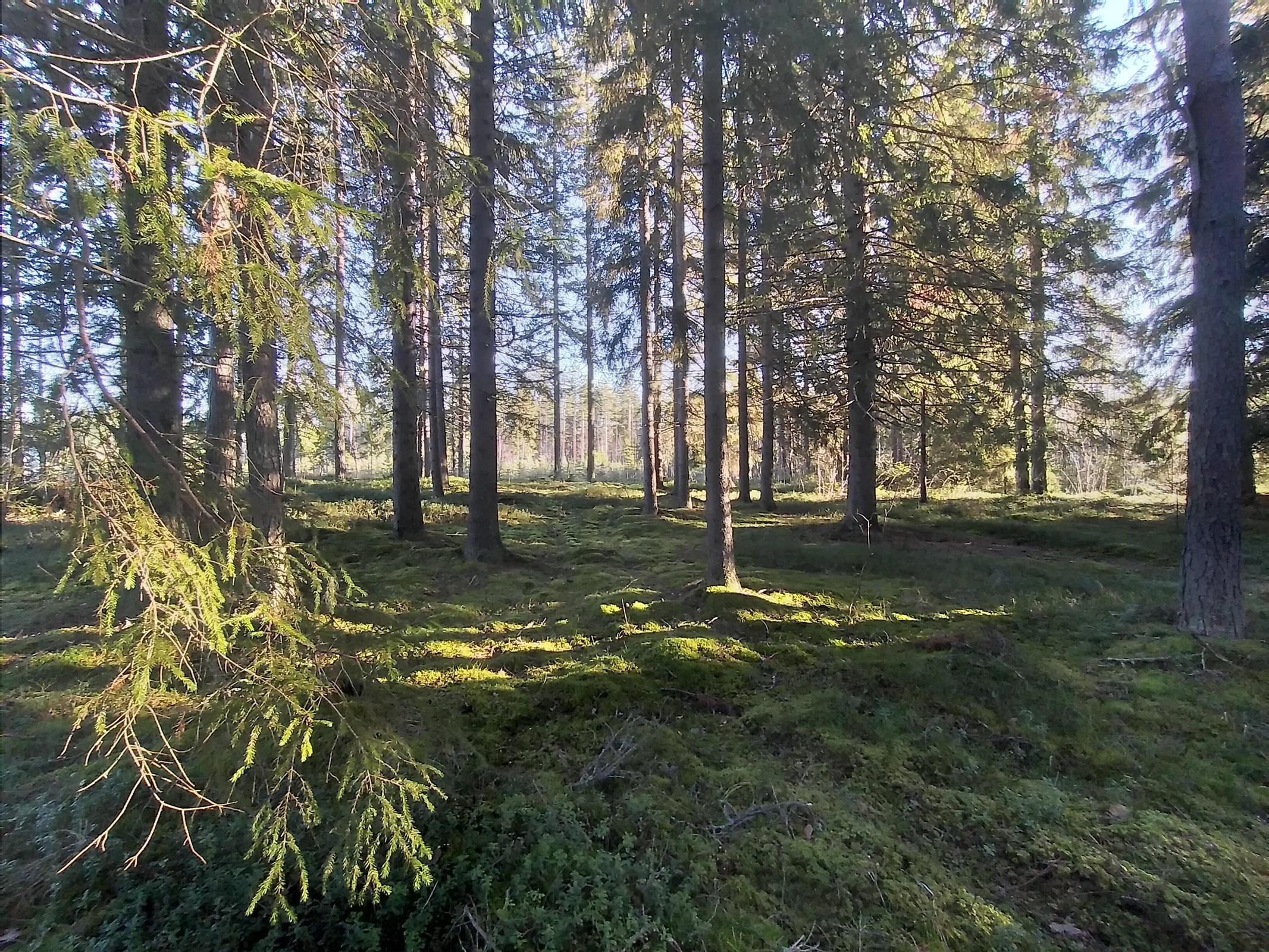 Kohdekuva 1
