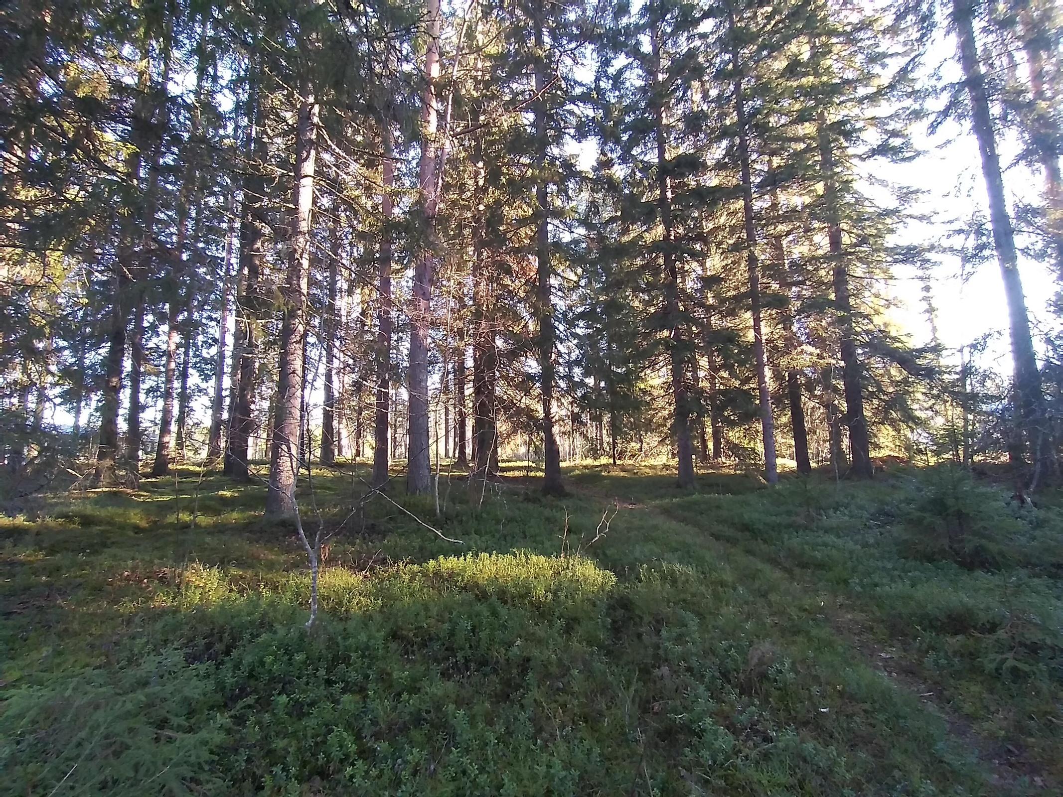 Kohdekuva 8
