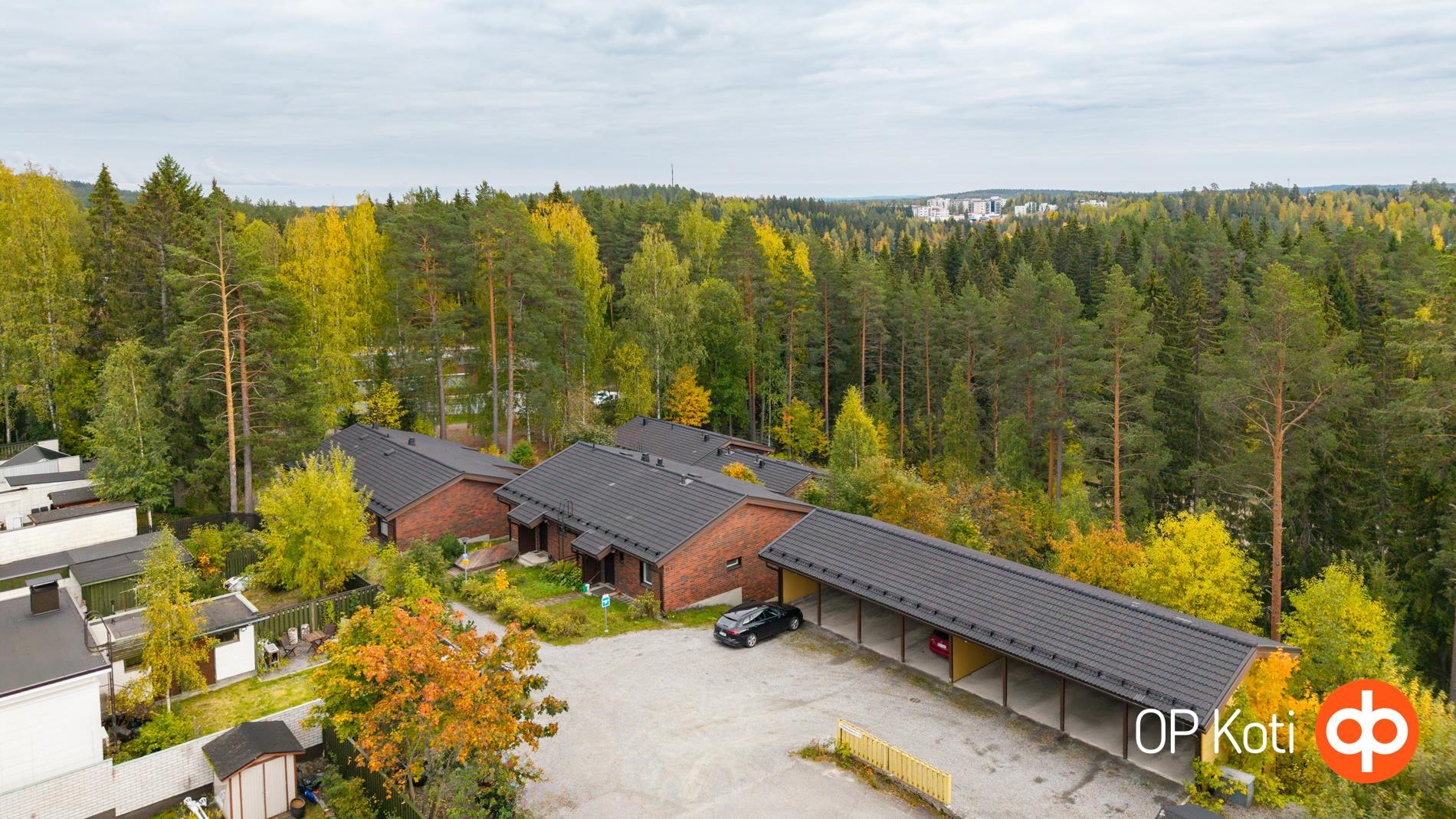 Kohdekuva 24