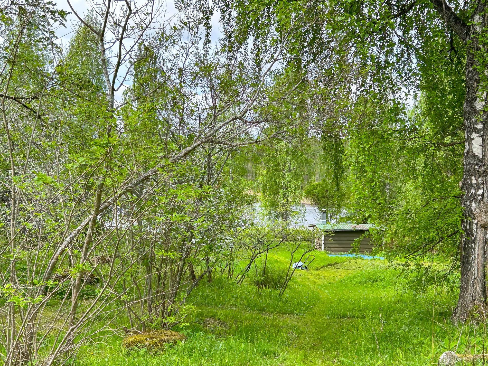 Kohdekuva 11