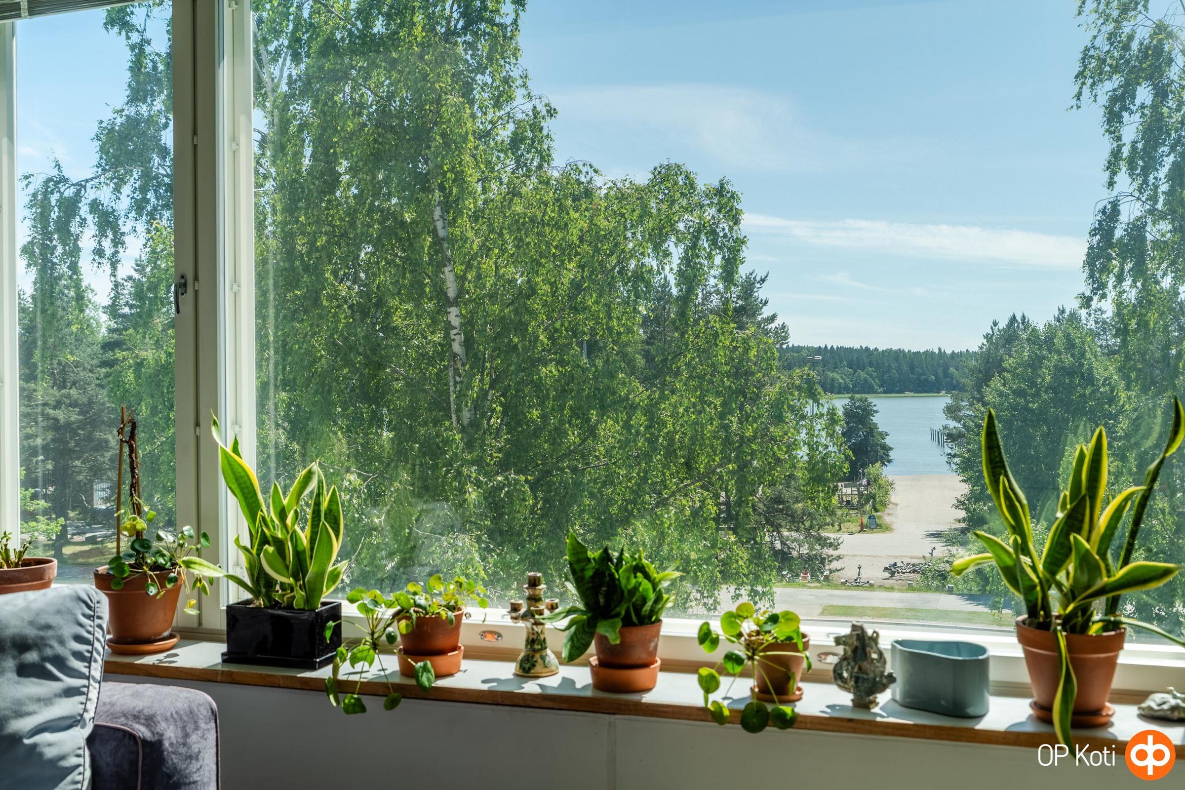 Näkymä olohuoneen ikkunasta
