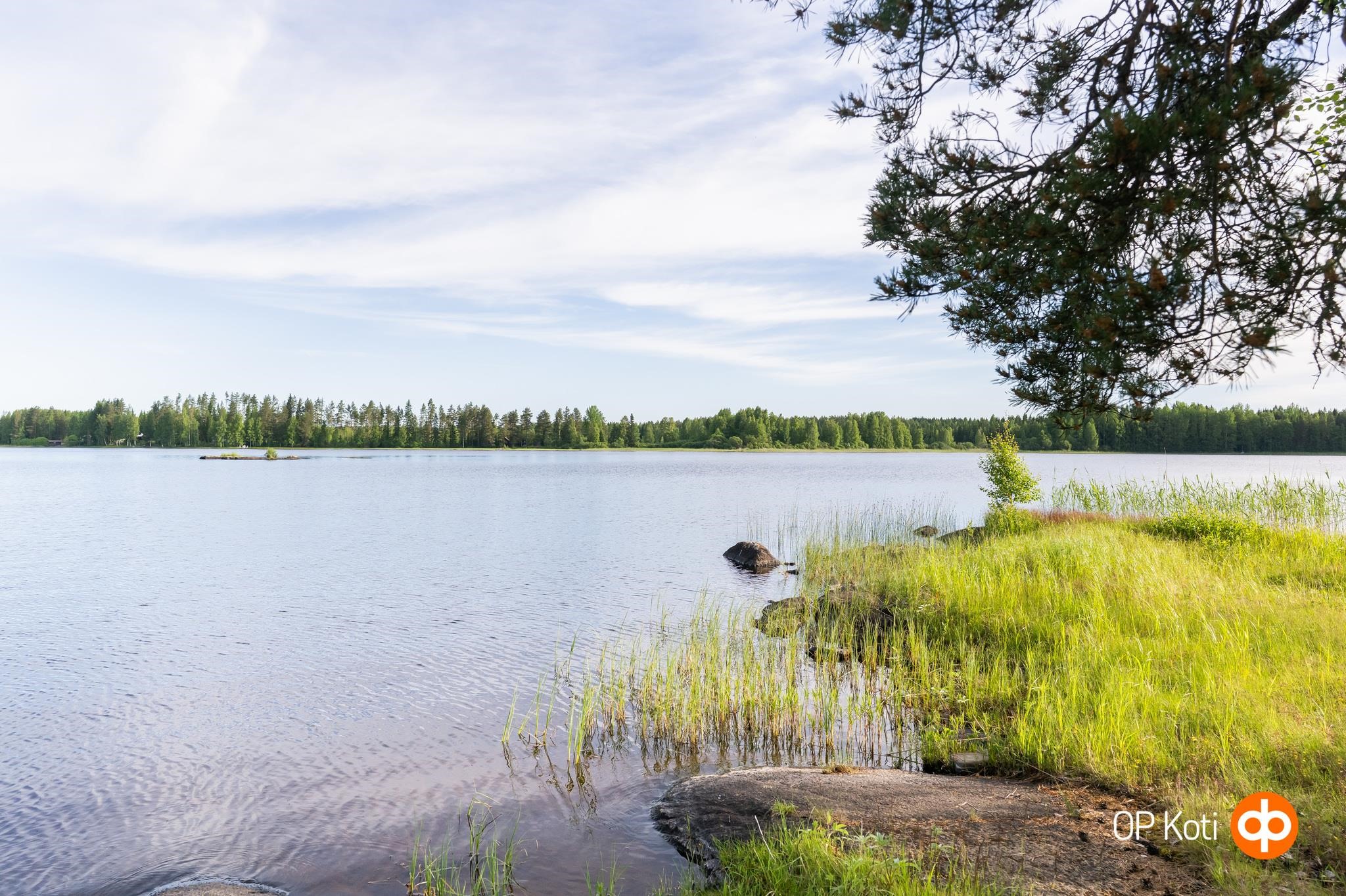 Kohdekuva 12