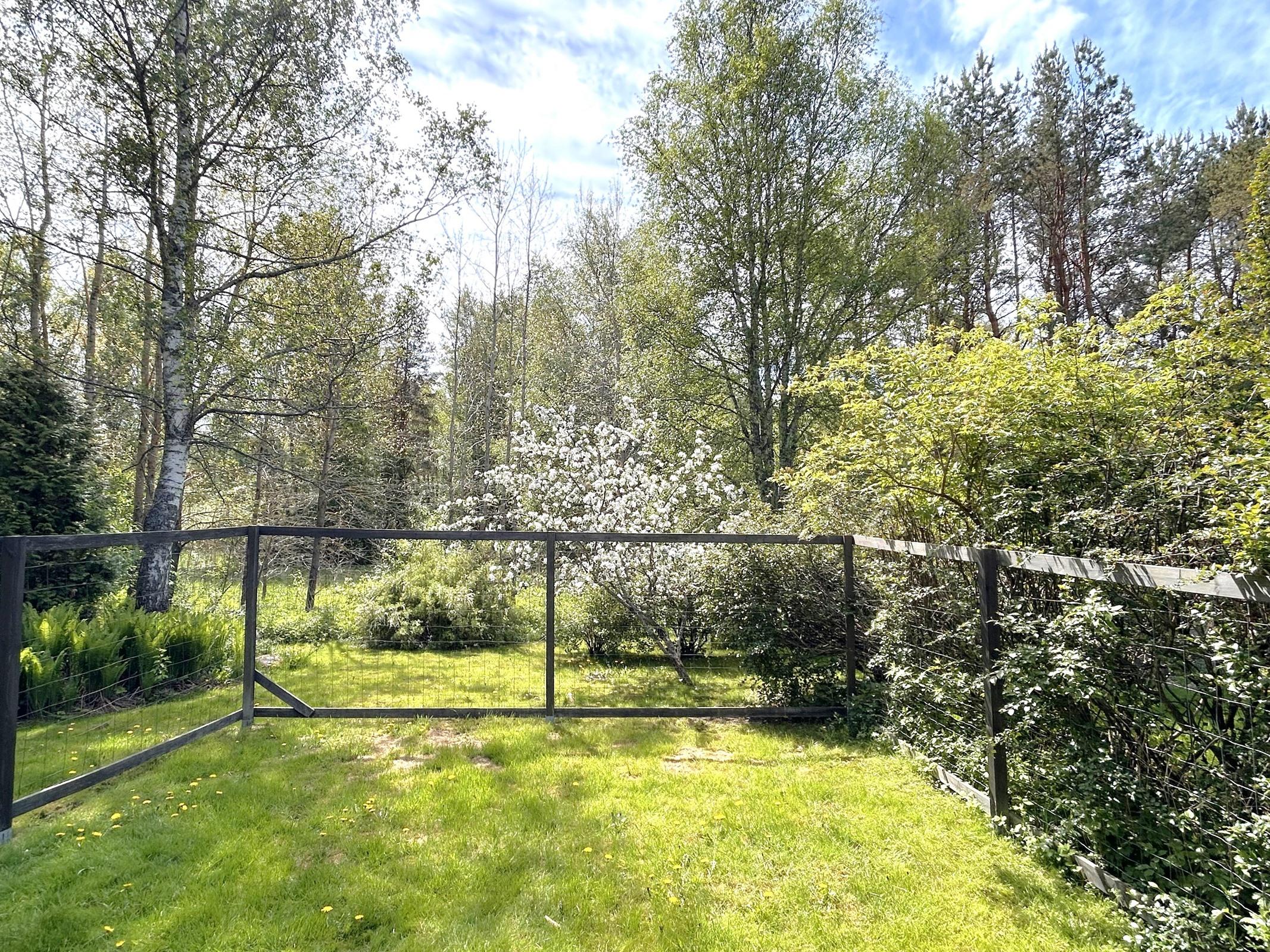 Kohdekuva 17