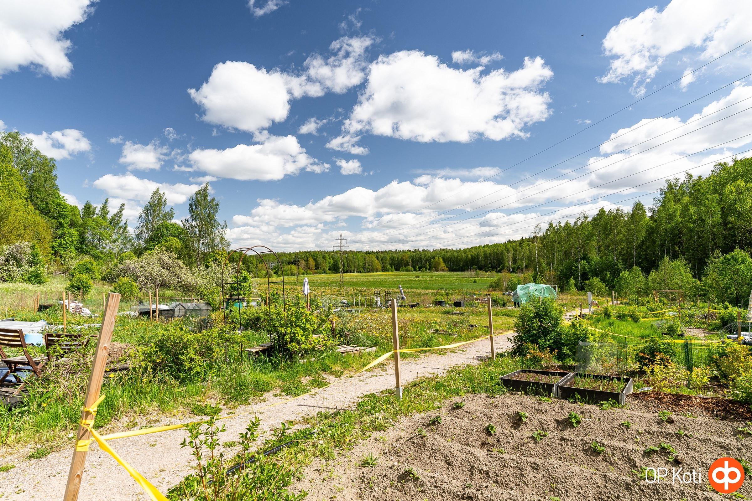 Kohdekuva 24