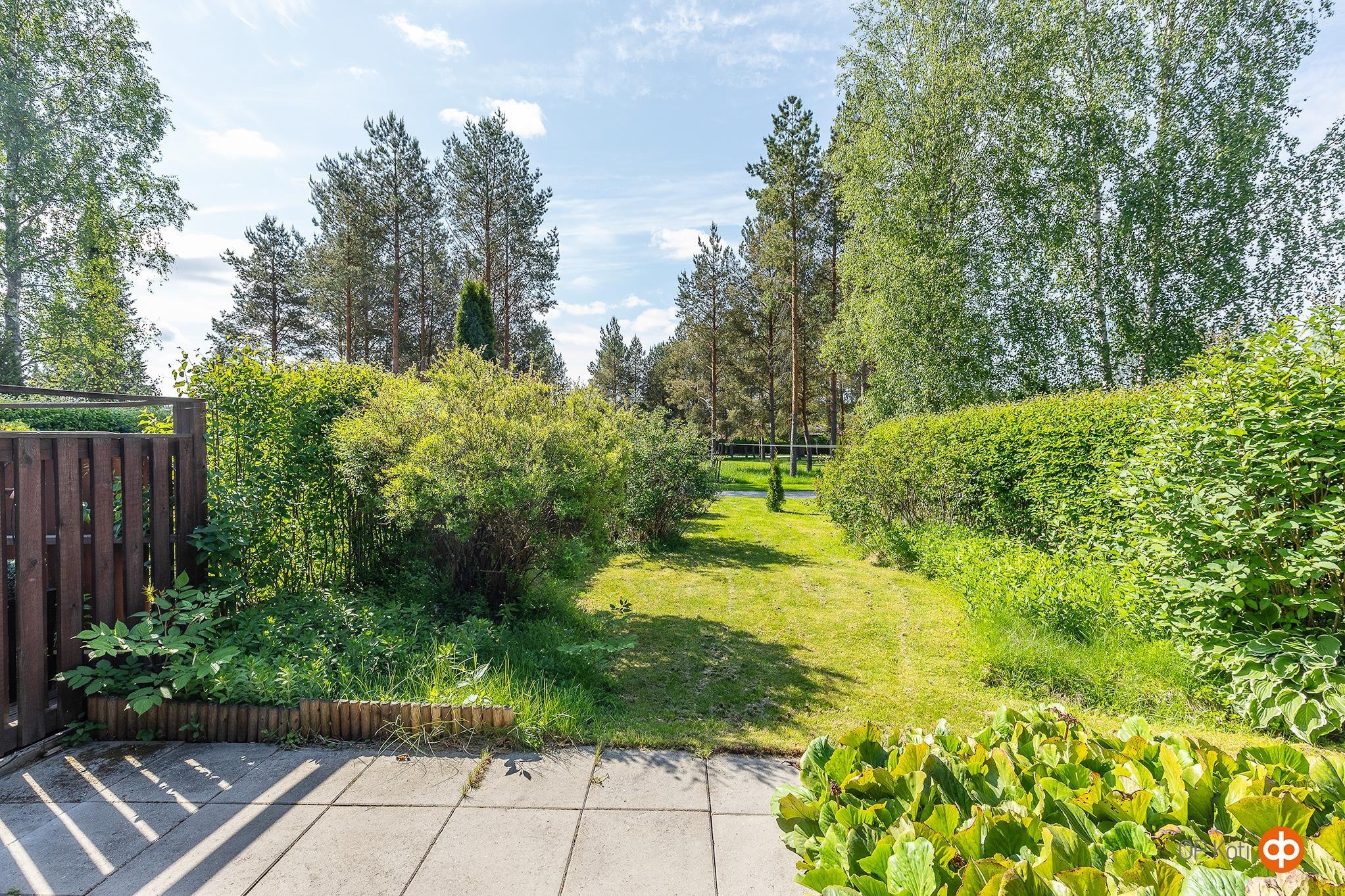 Kohdekuva 31