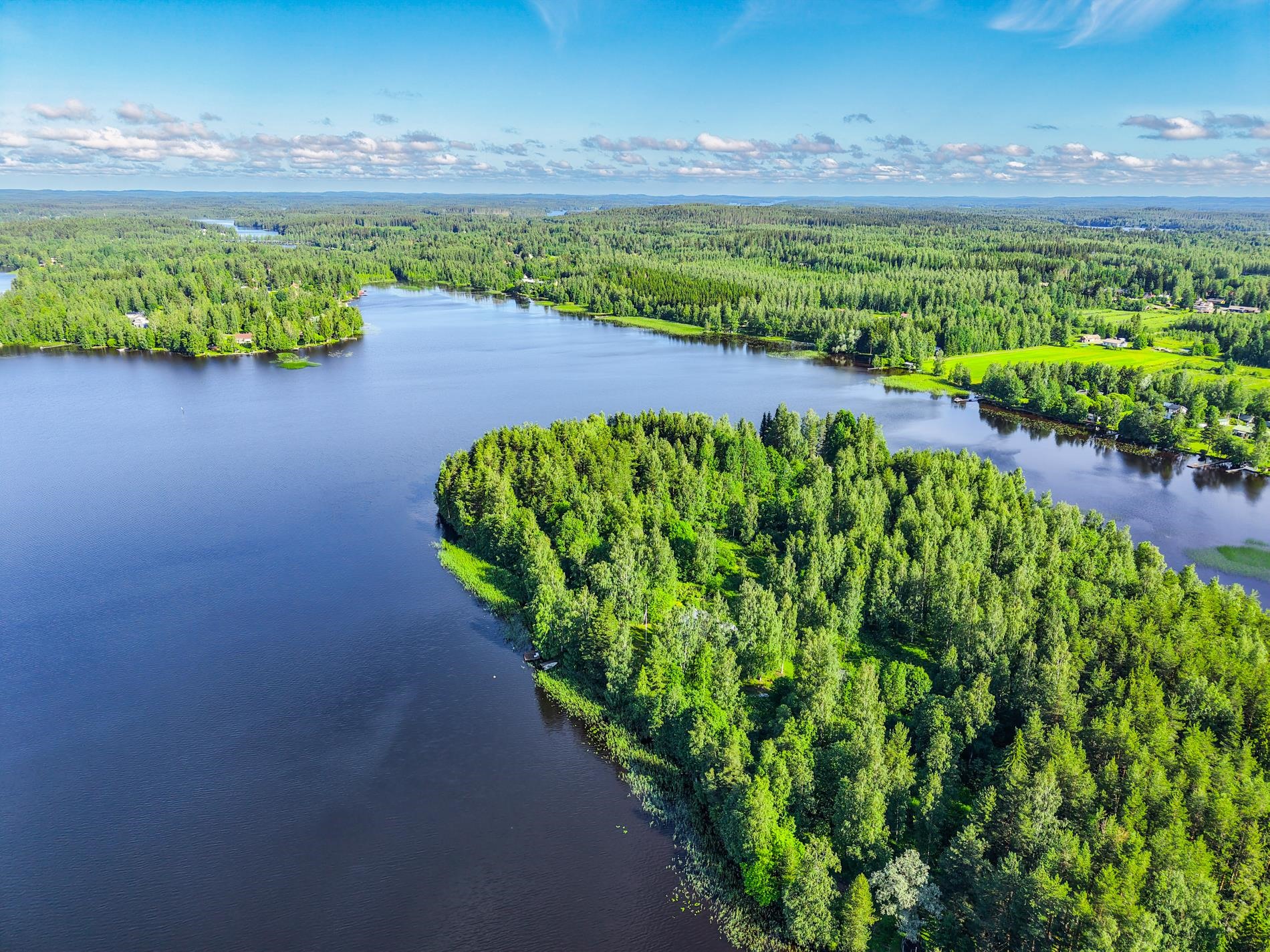 Kohdekuva 41