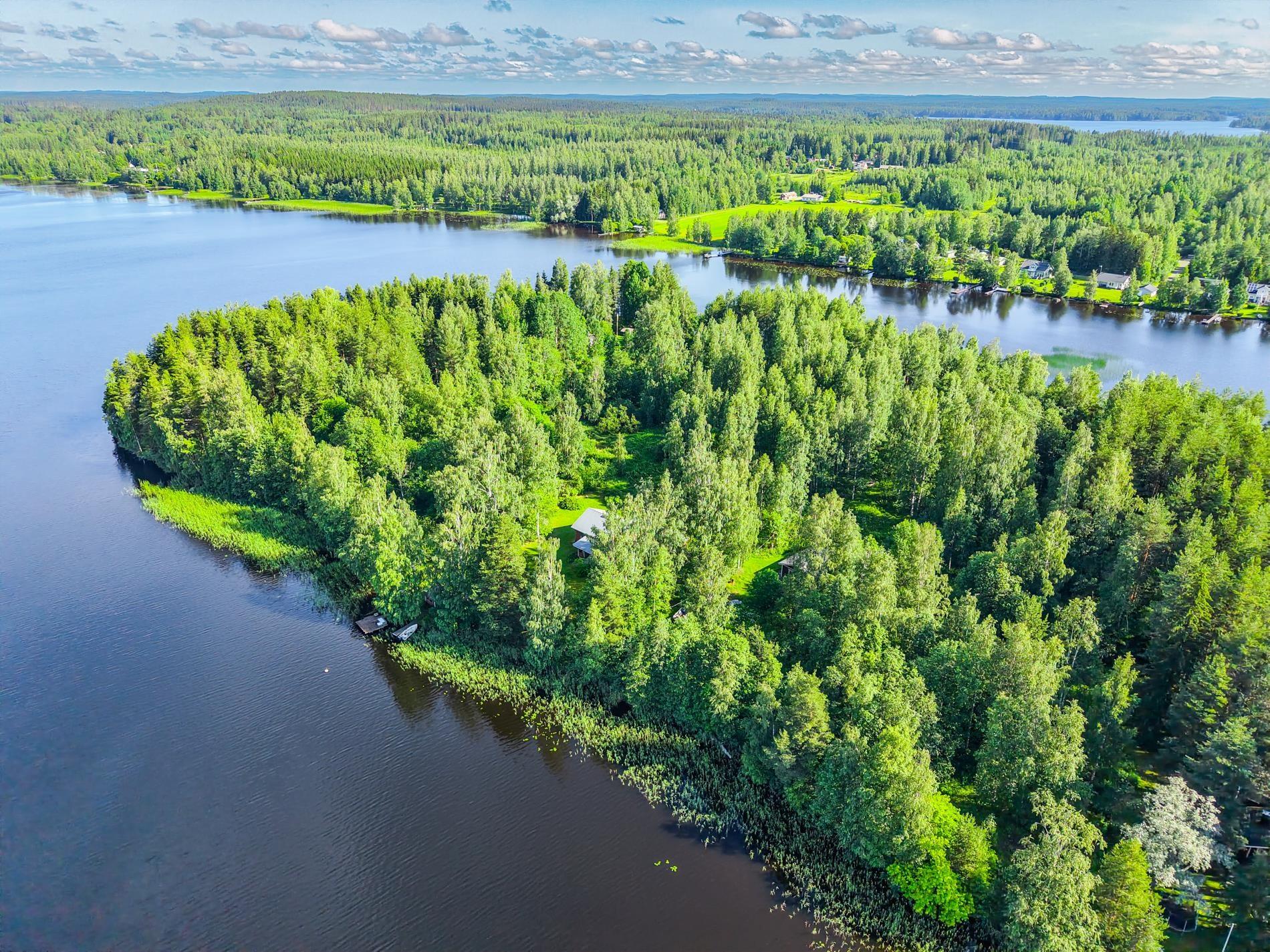 Kohdekuva 40
