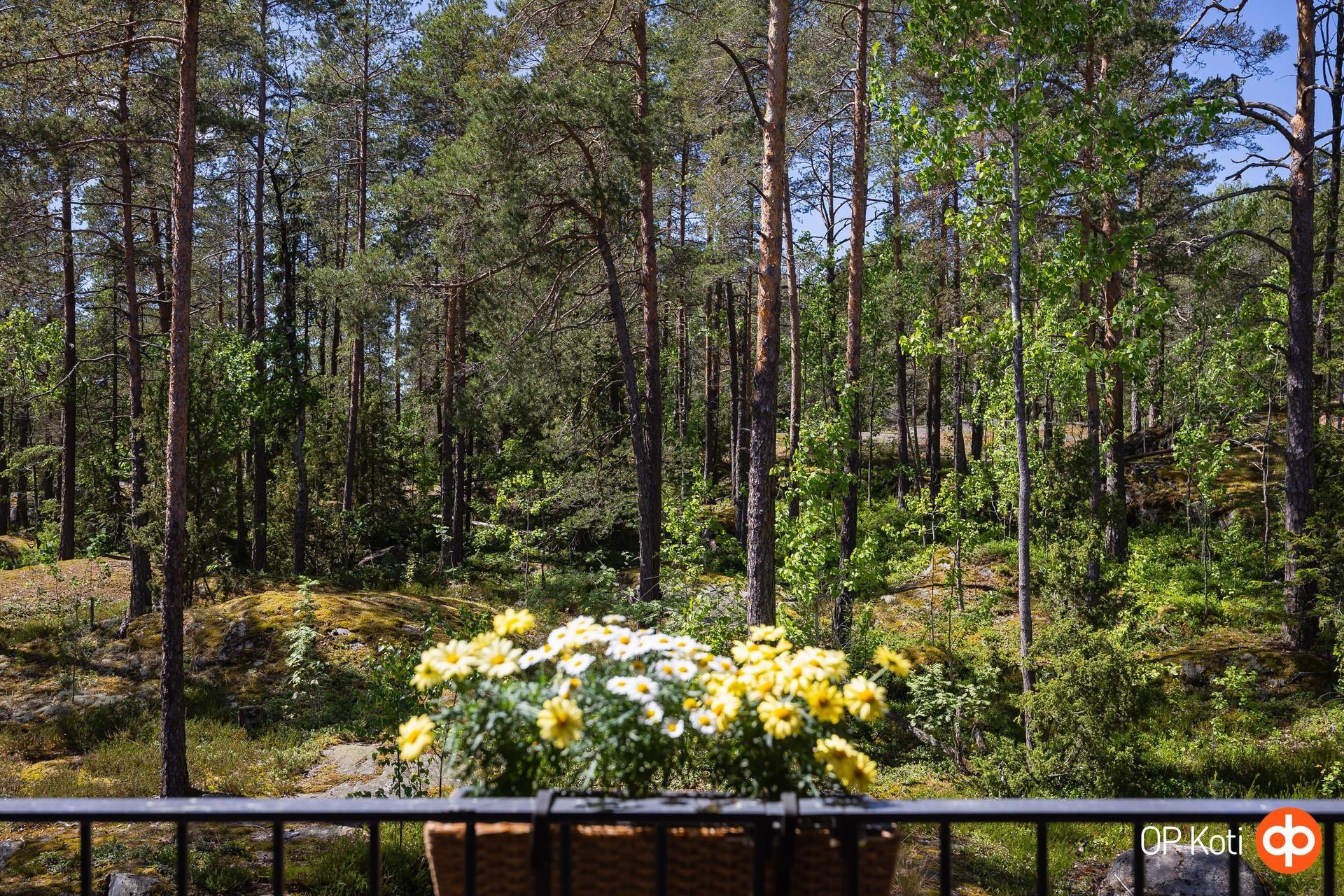Kohdekuva 17