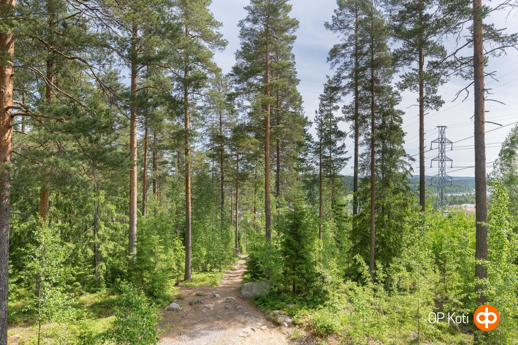 Kohdekuva 15