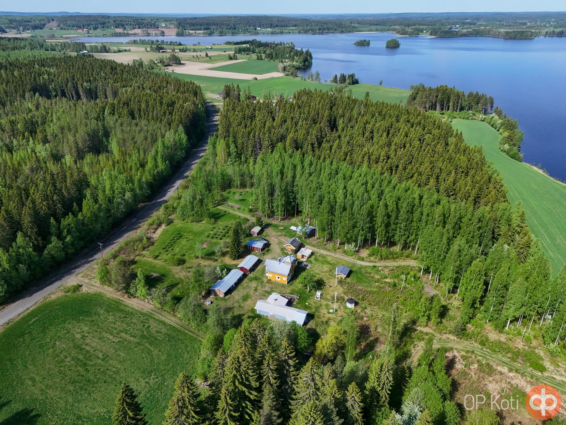 Kohdekuva 64