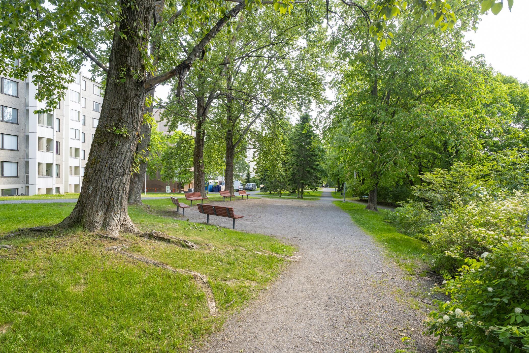 Kohdekuva 29