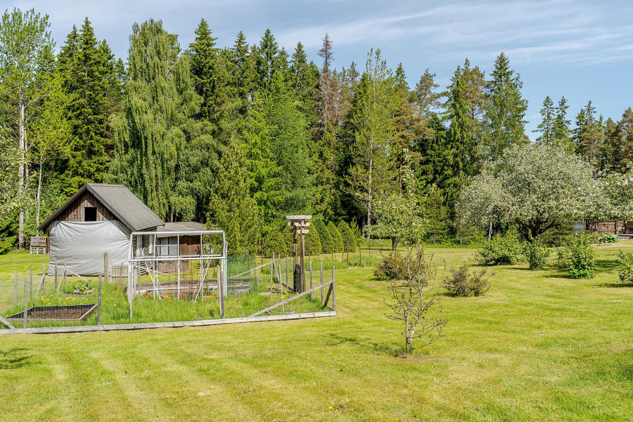Kohdekuva 50