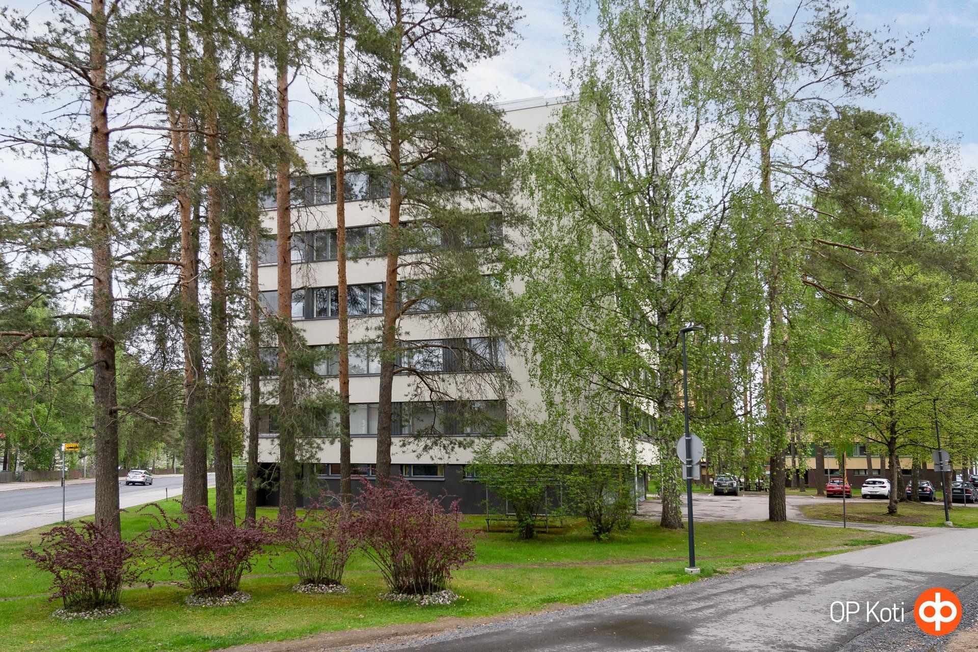 Kohdekuva 1