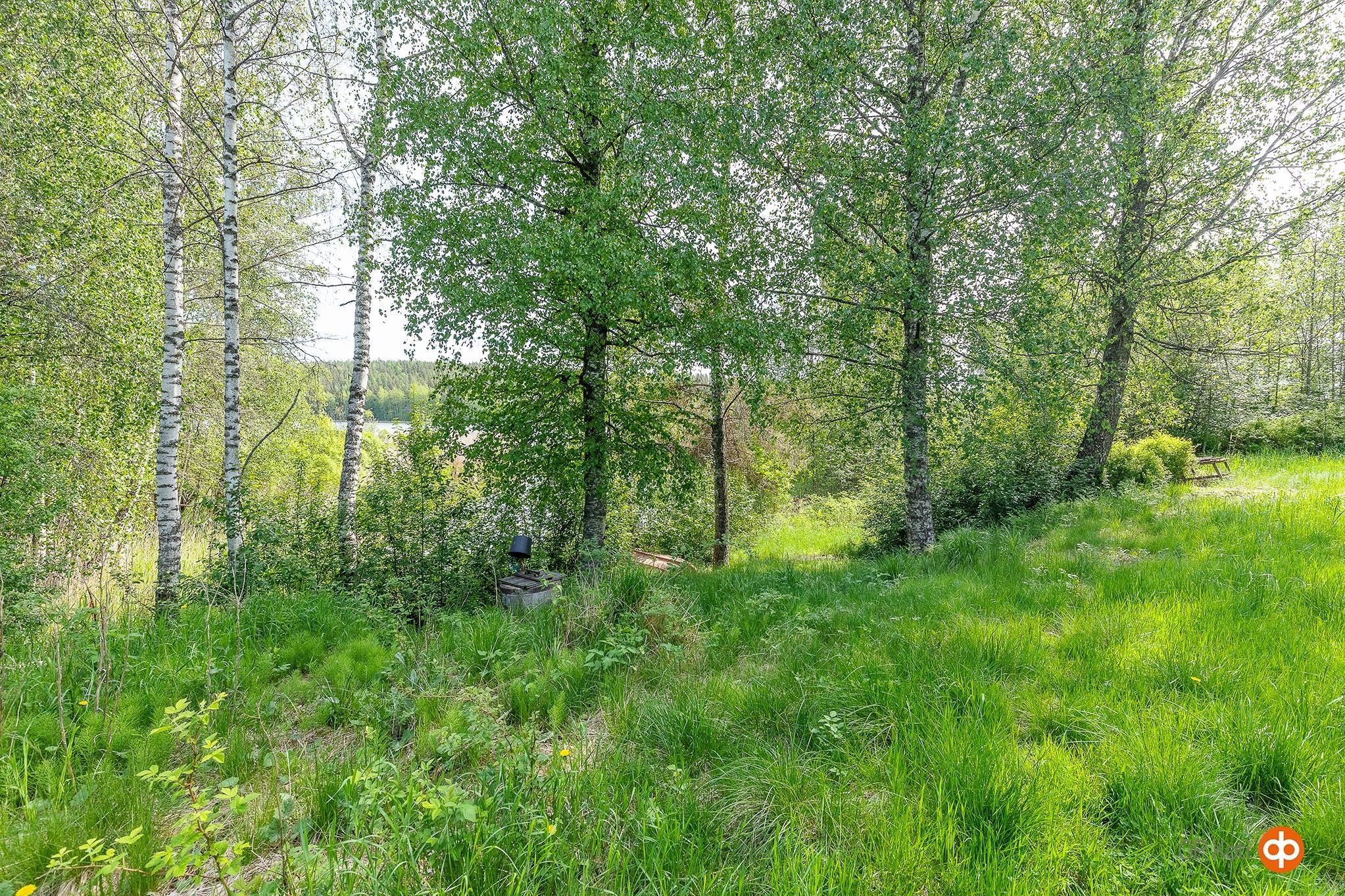 Kohdekuva 26