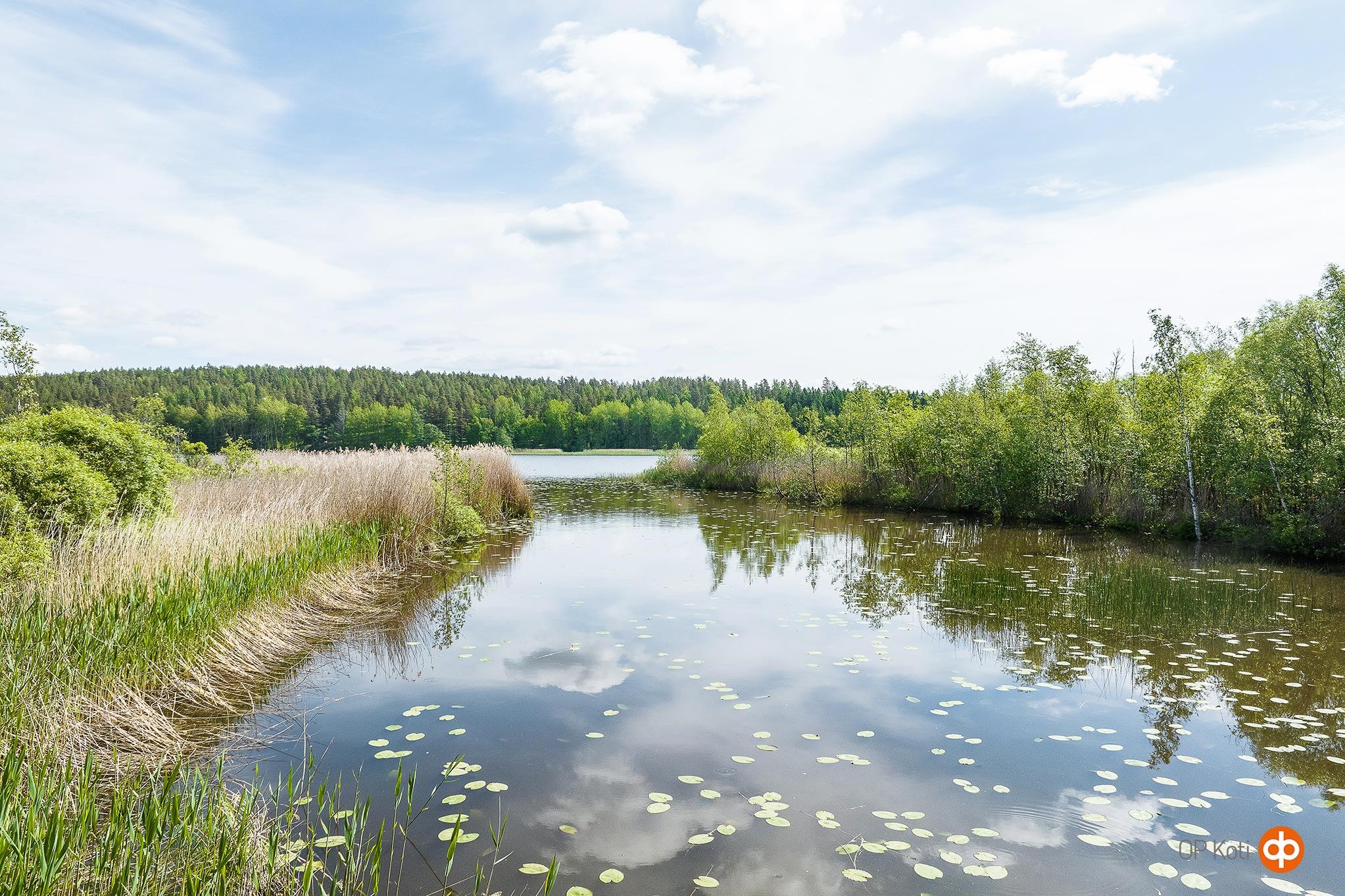 Kohdekuva 34