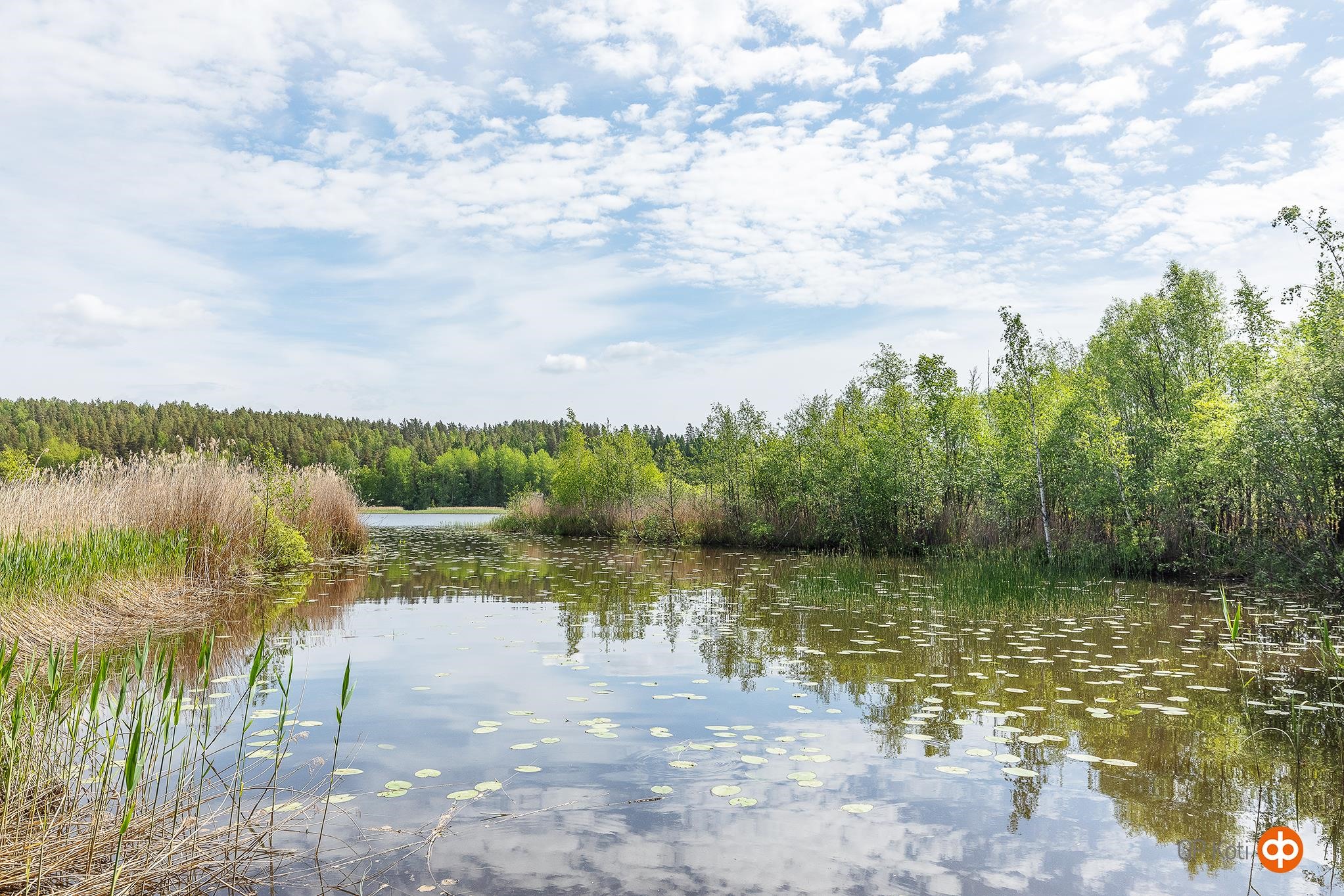 Kohdekuva 29