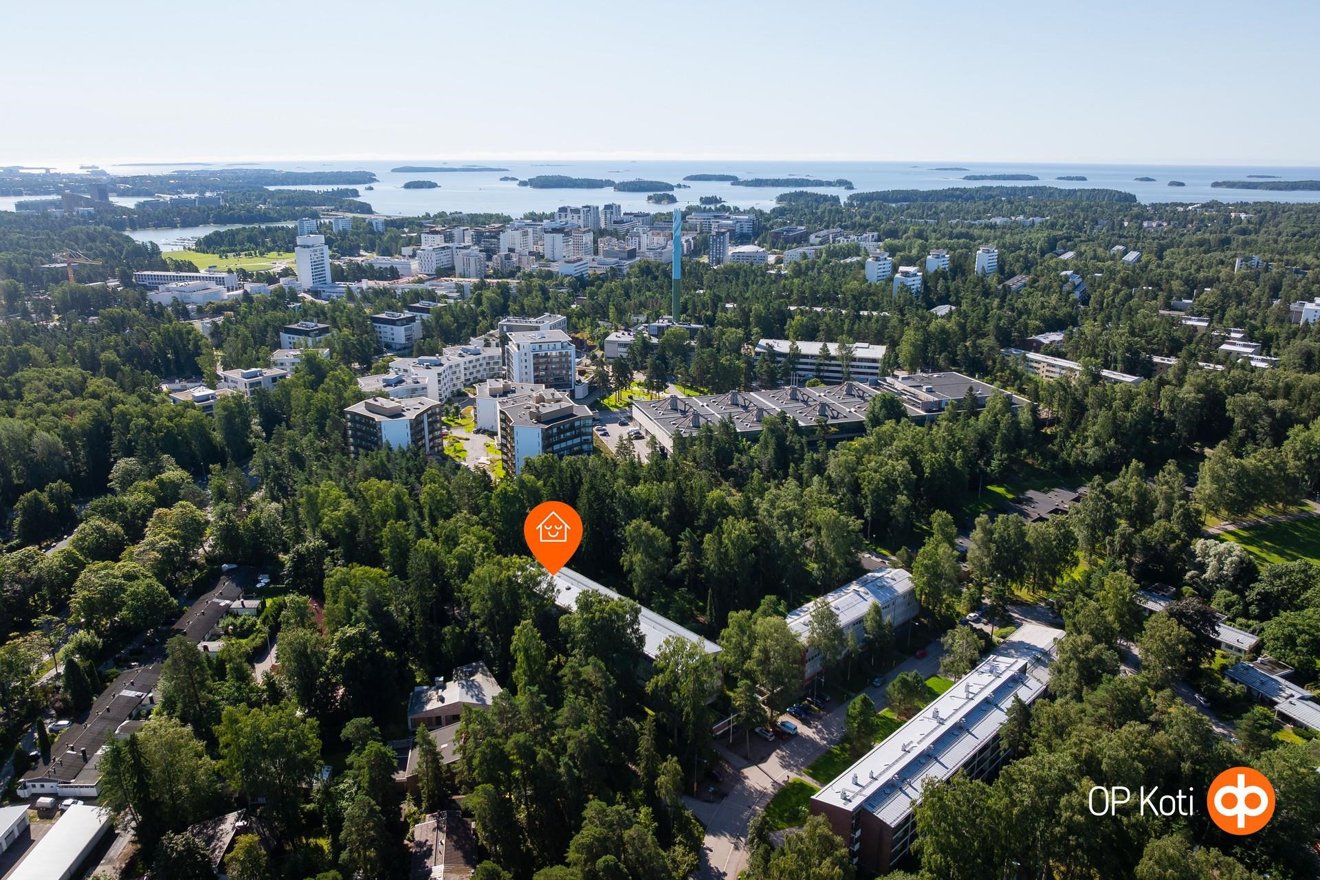 Kohdekuva 15