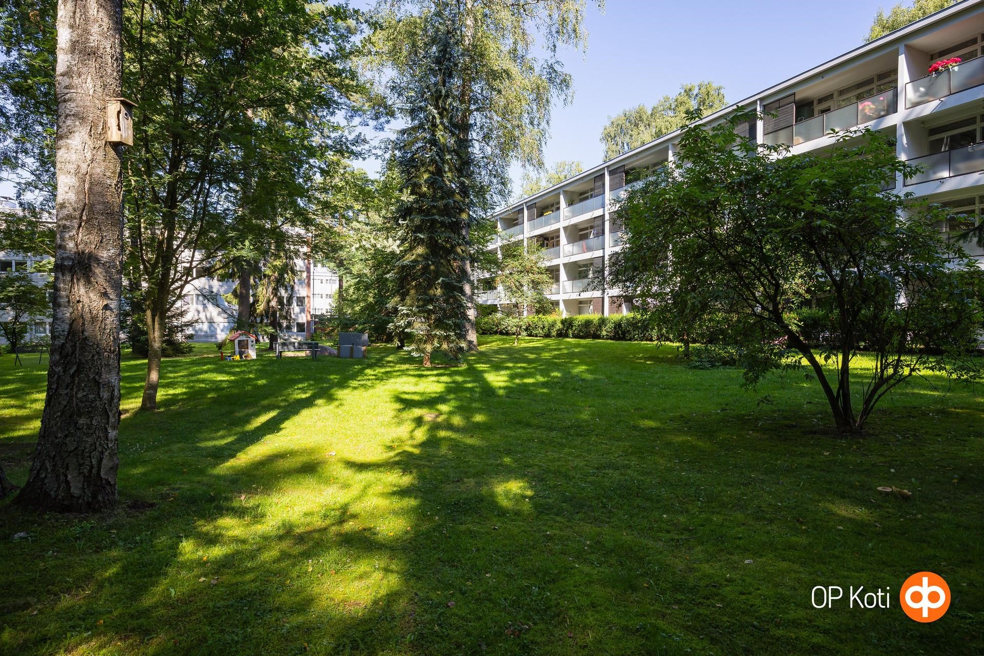 Kohdekuva 19