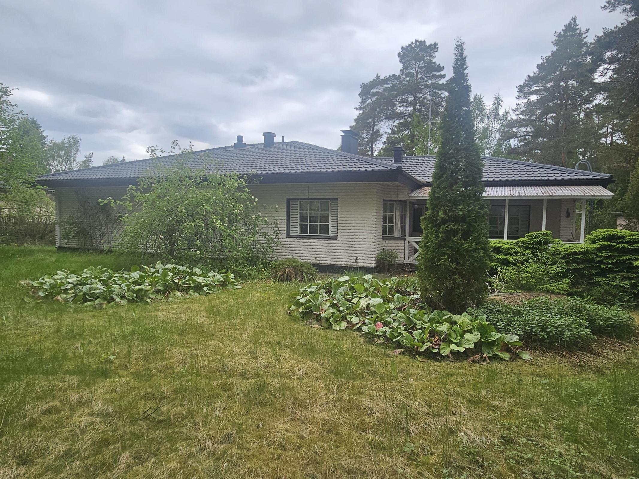 takapihalta päin