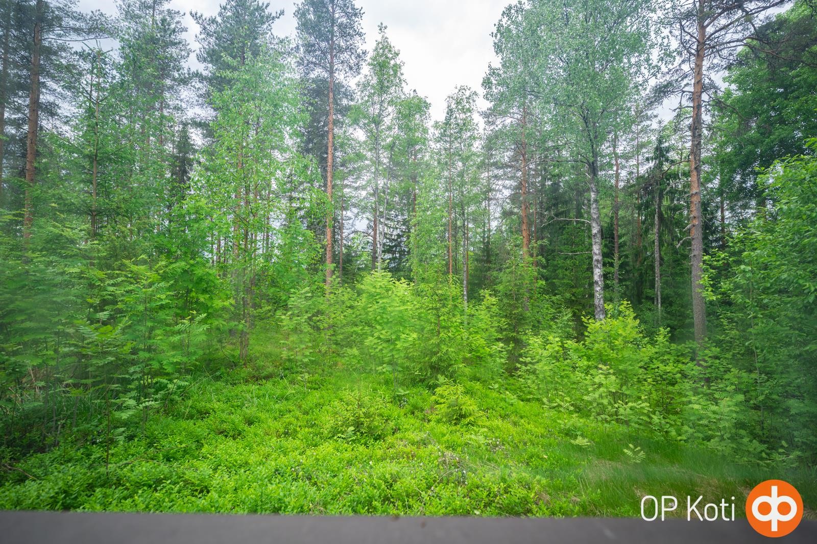 Kohdekuva 9