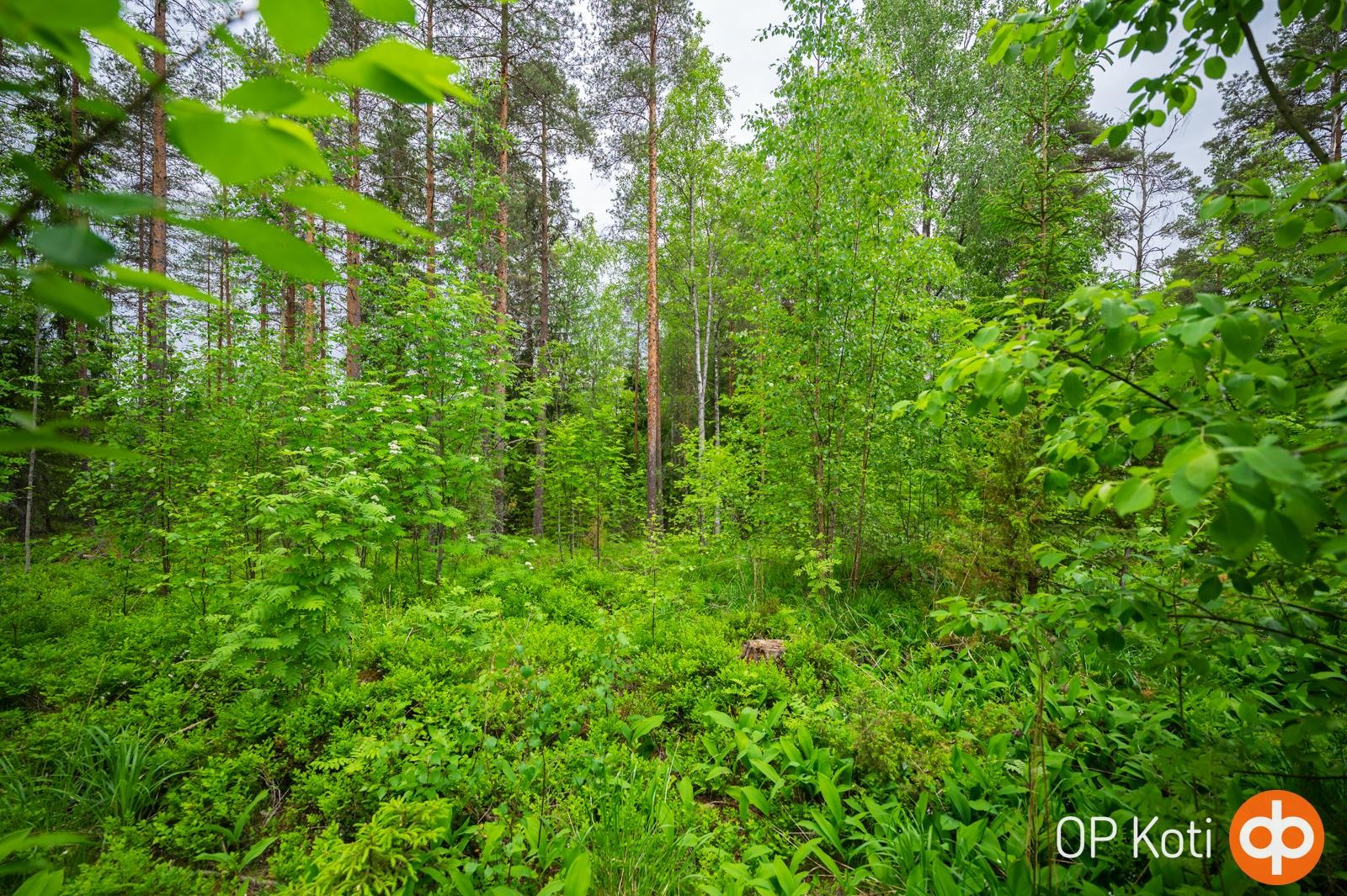 Kohdekuva 14