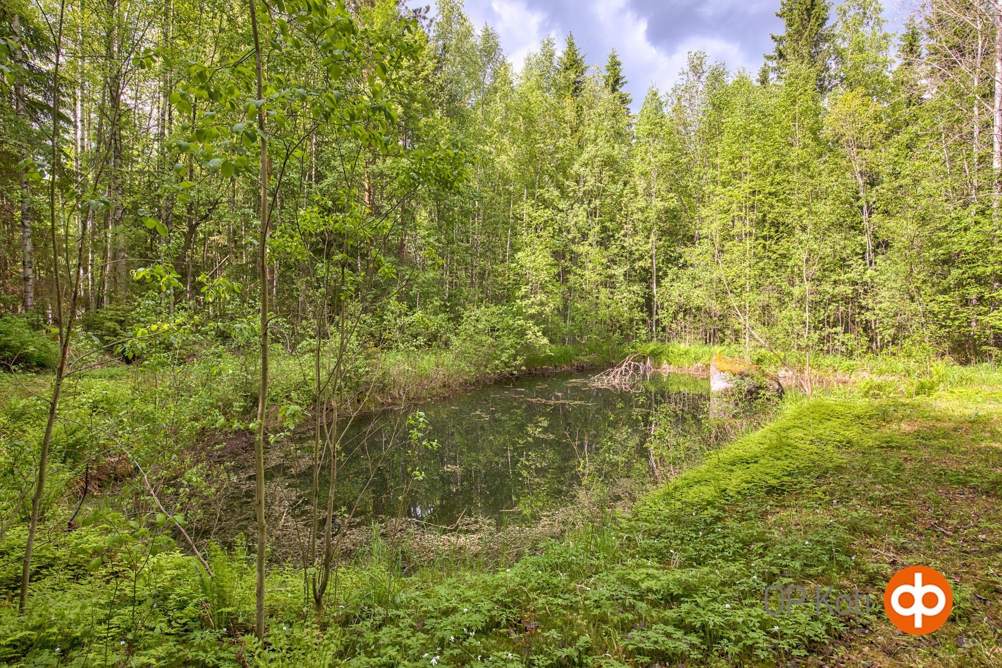 Kohdekuva 21