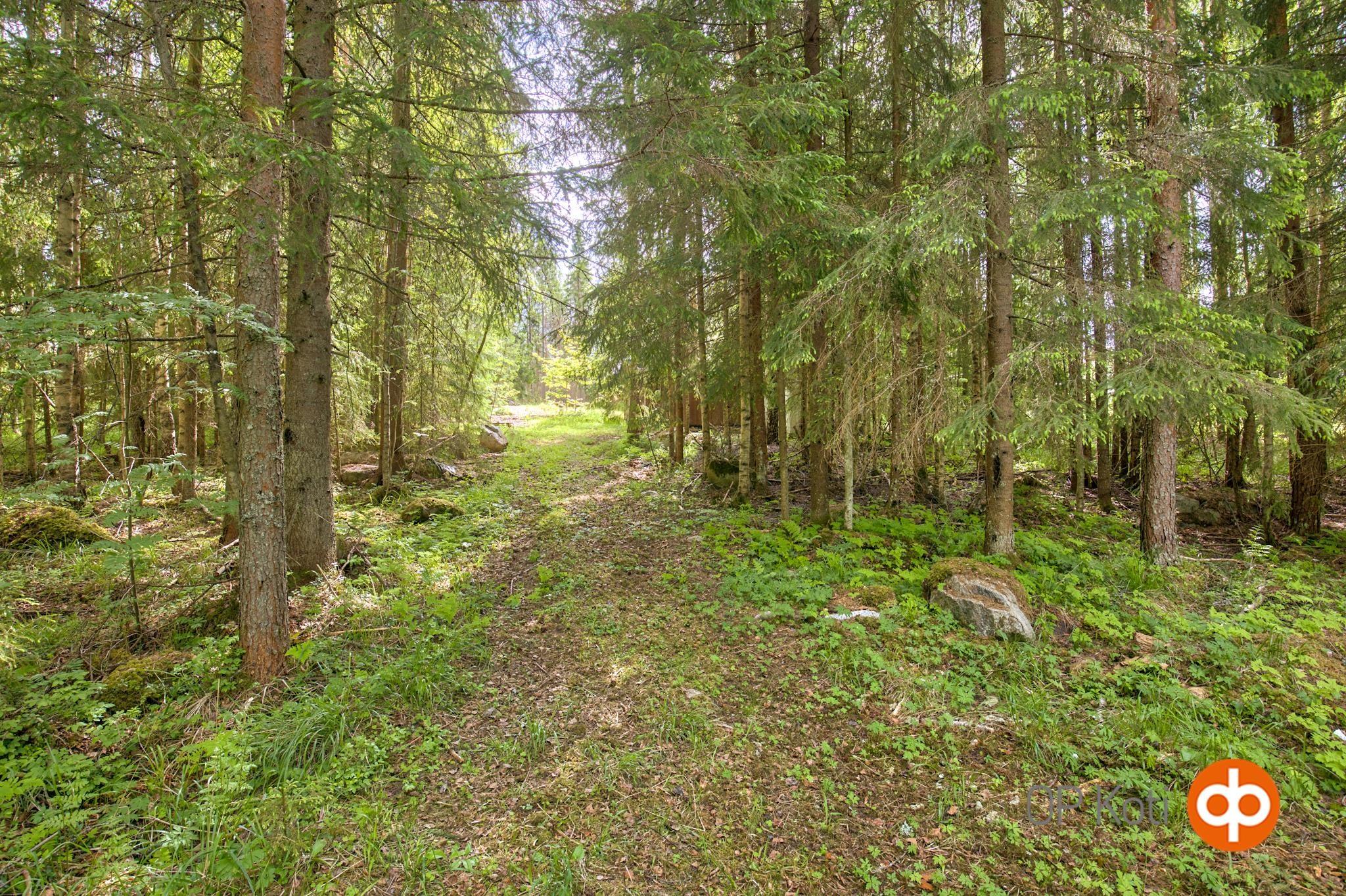 Kohdekuva 38
