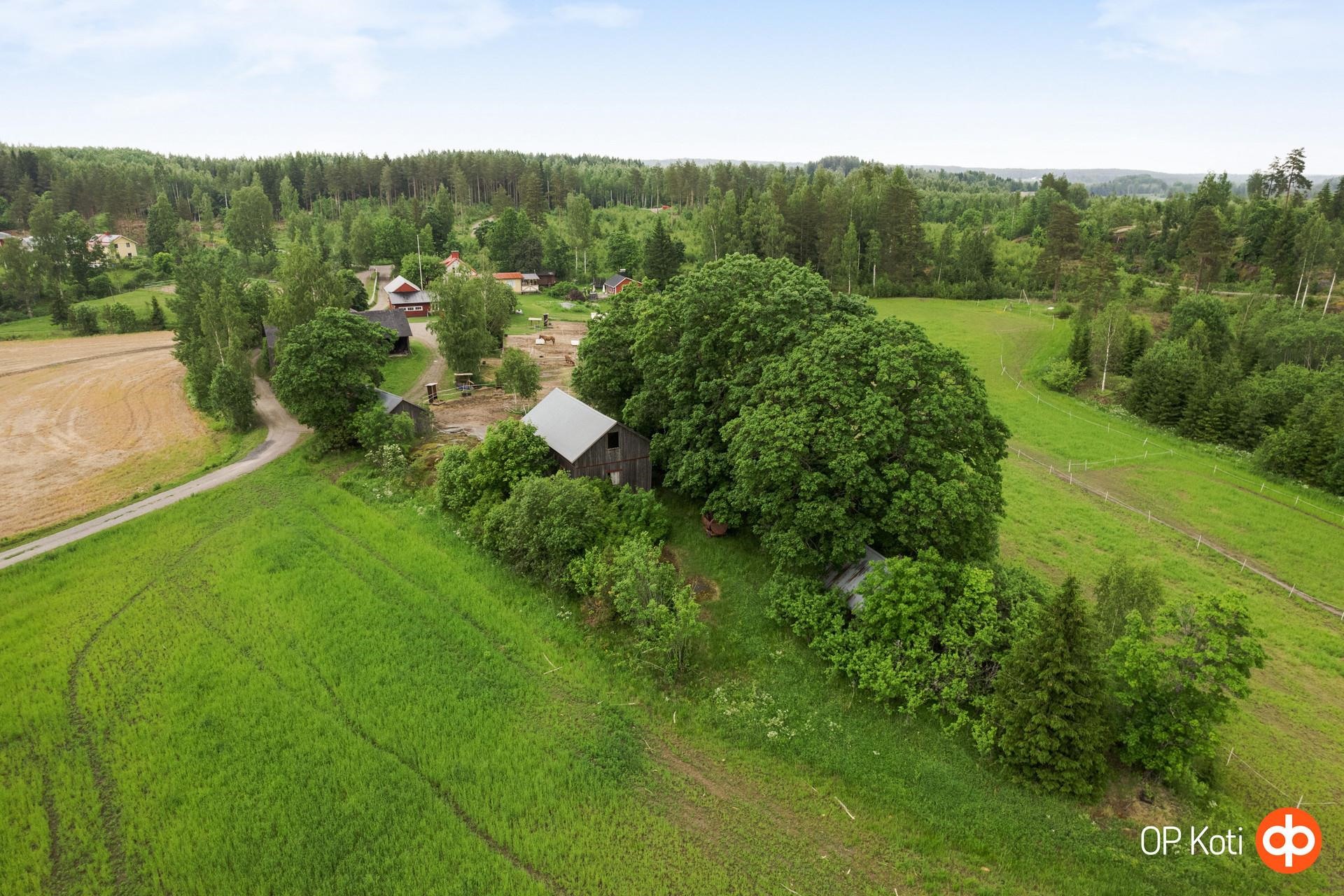 Kohdekuva 31